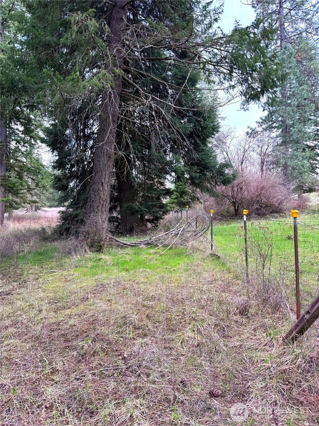2 Xxxx E Eloika Lake Road Property Photo 28