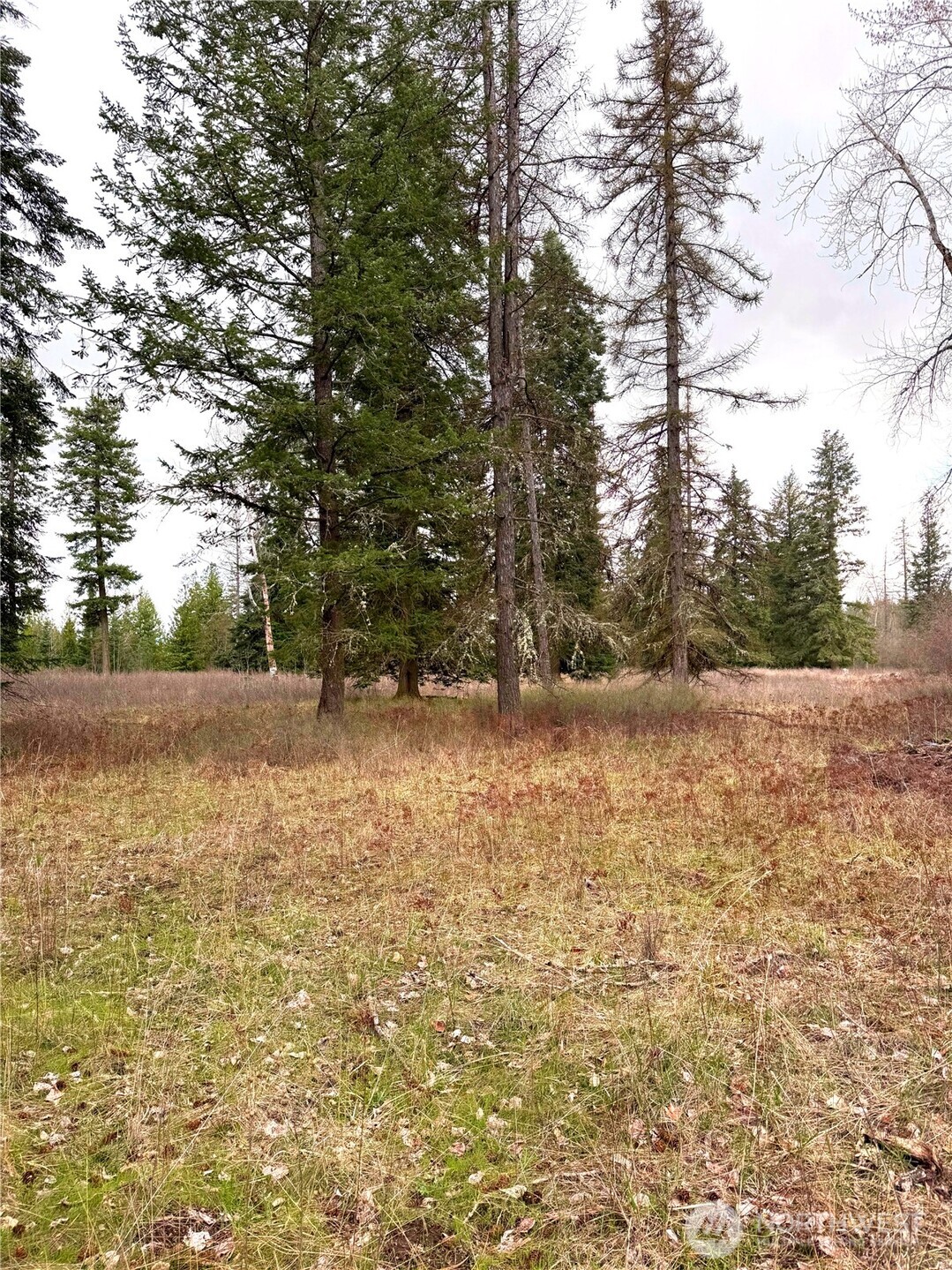 2 Xxxx E Eloika Lake Road Property Photo 29