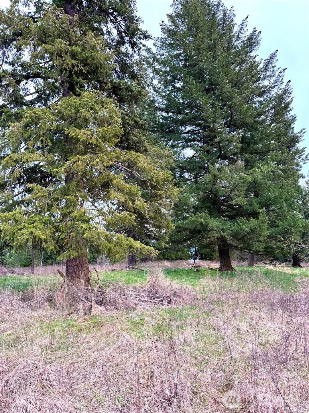 2 Xxxx E Eloika Lake Road Property Photo 30