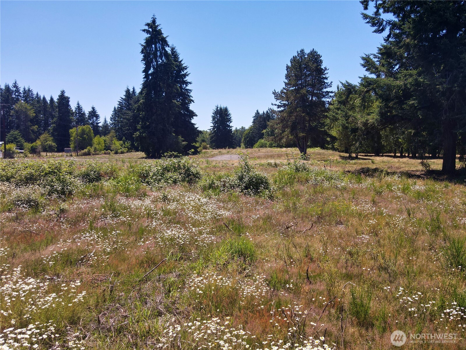 108 Mocha Lane Property Photo 1