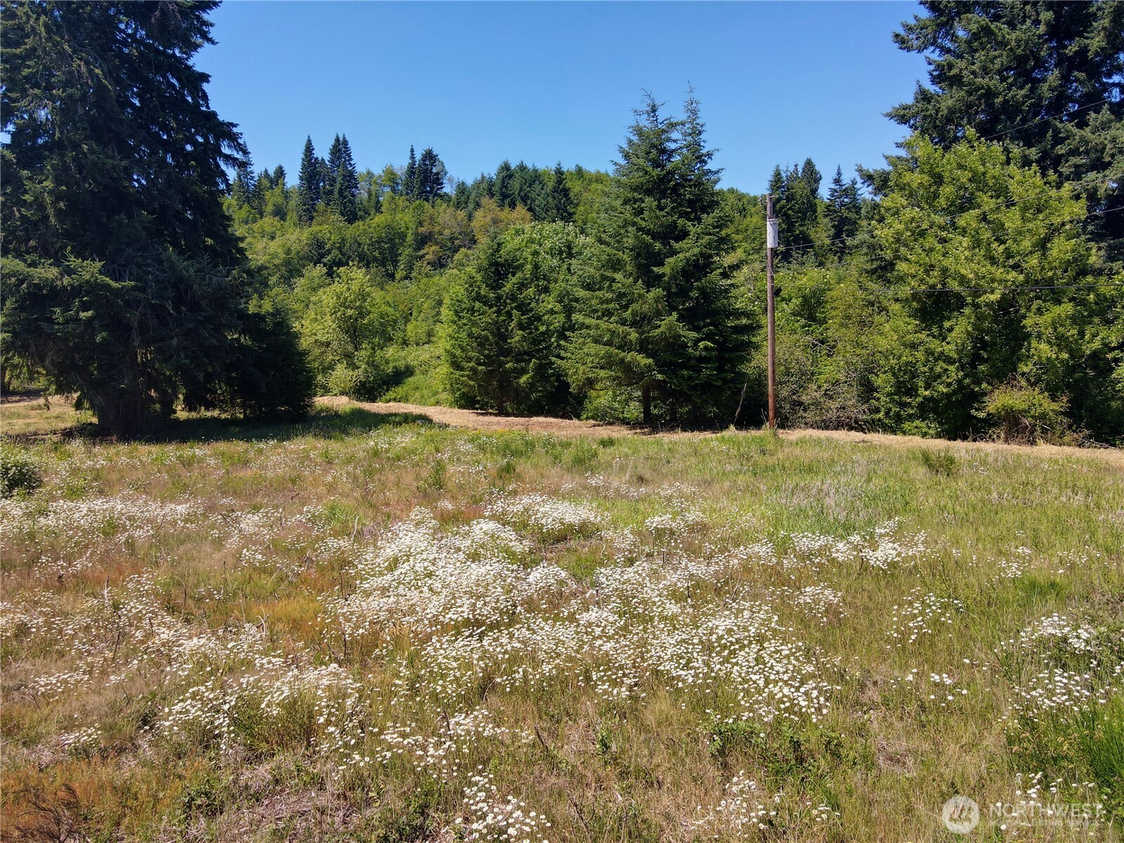 108 Mocha Lane Property Photo 9