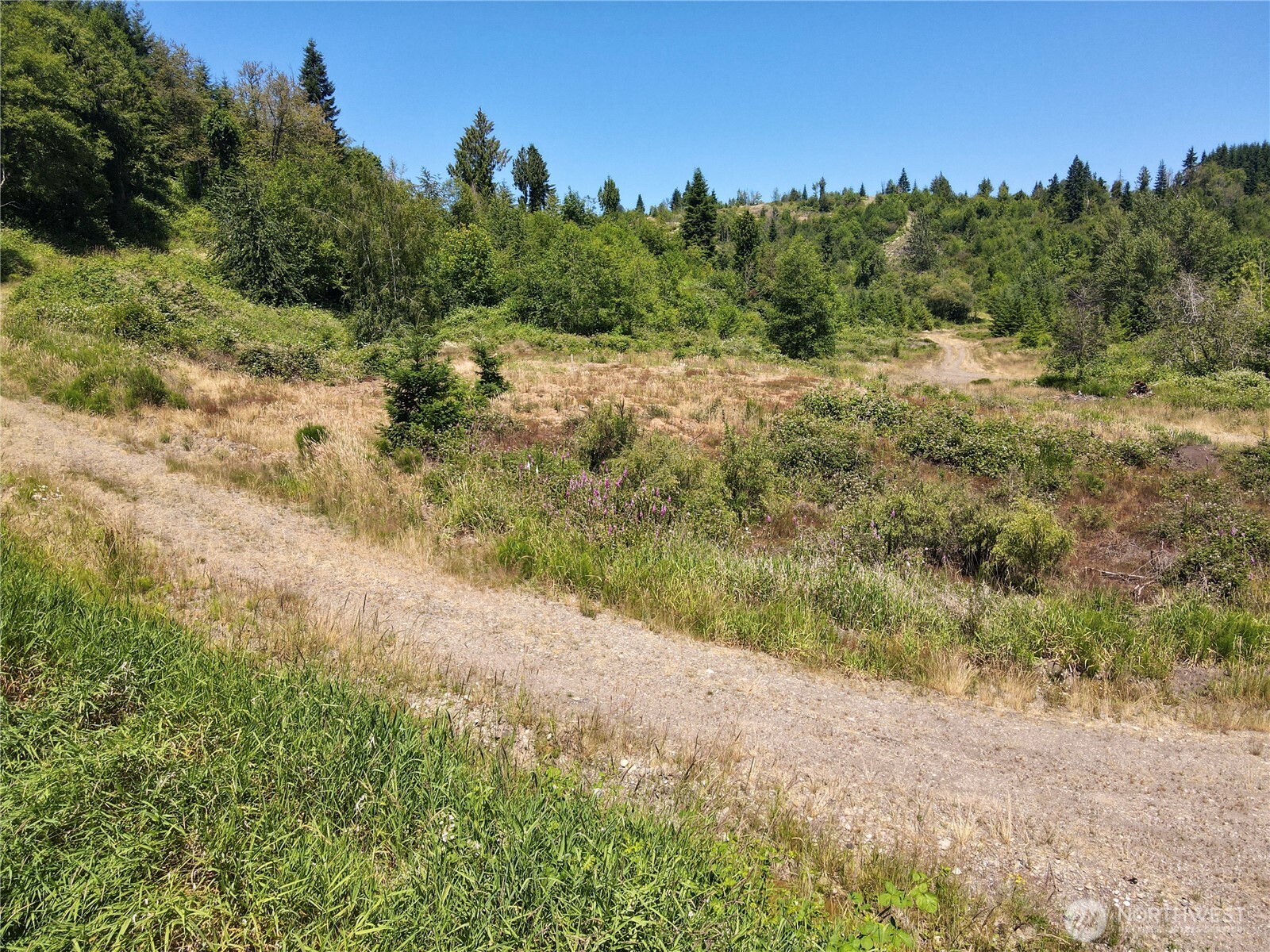 108 Mocha Lane Property Photo 18