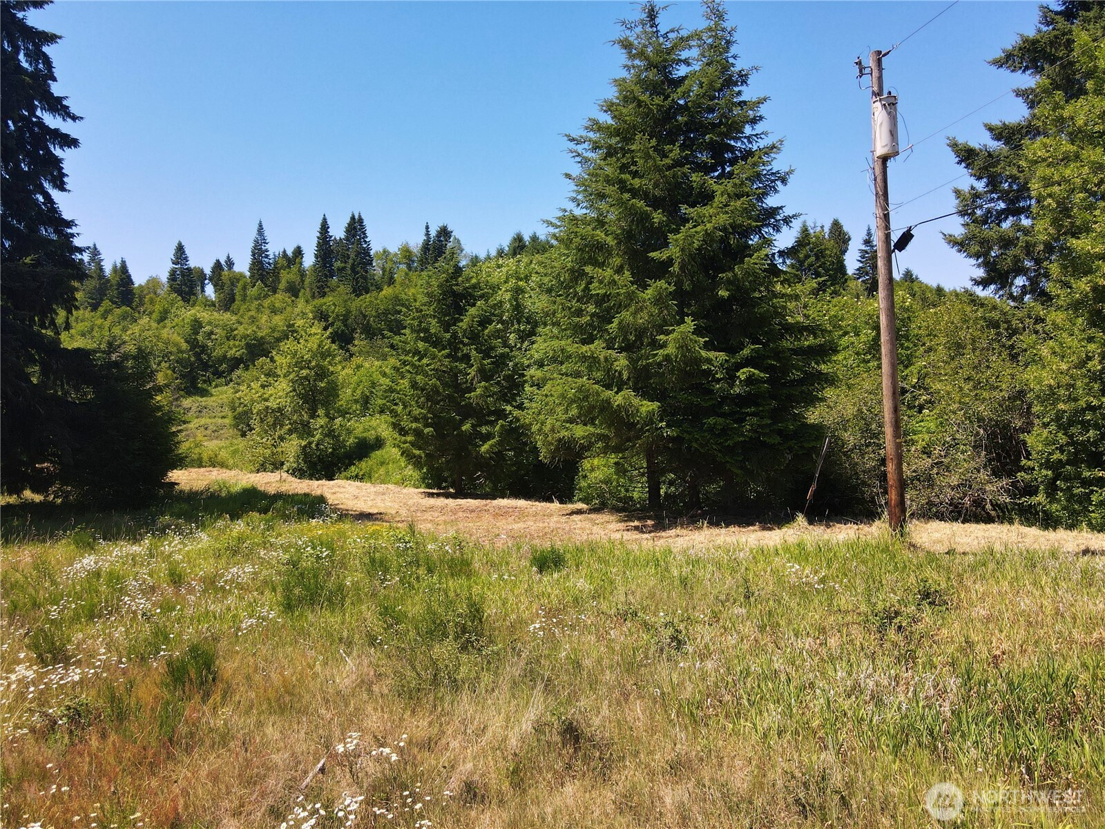 108 Mocha Lane Property Photo 19