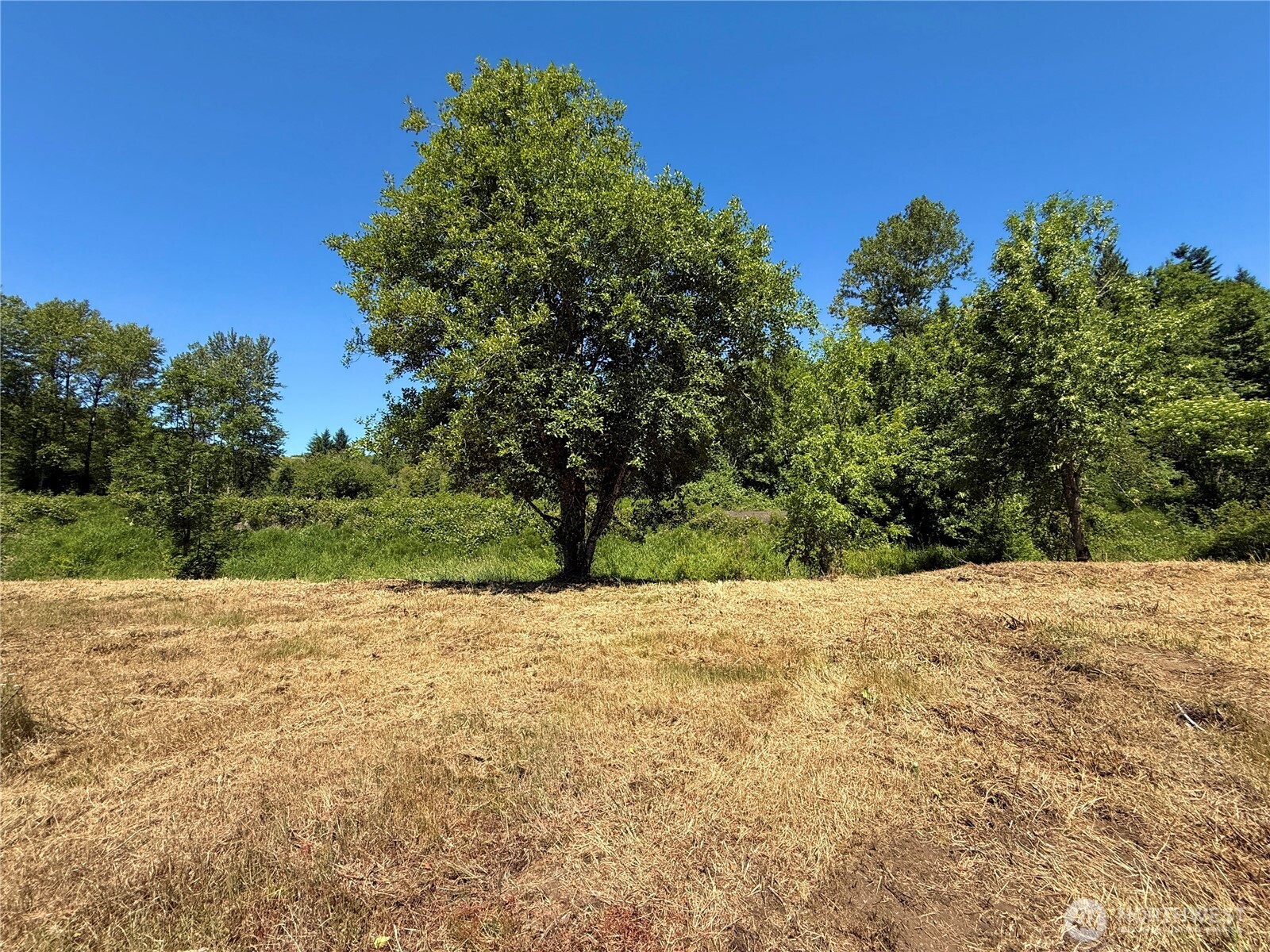 102 Mocha Lane Property Photo 1