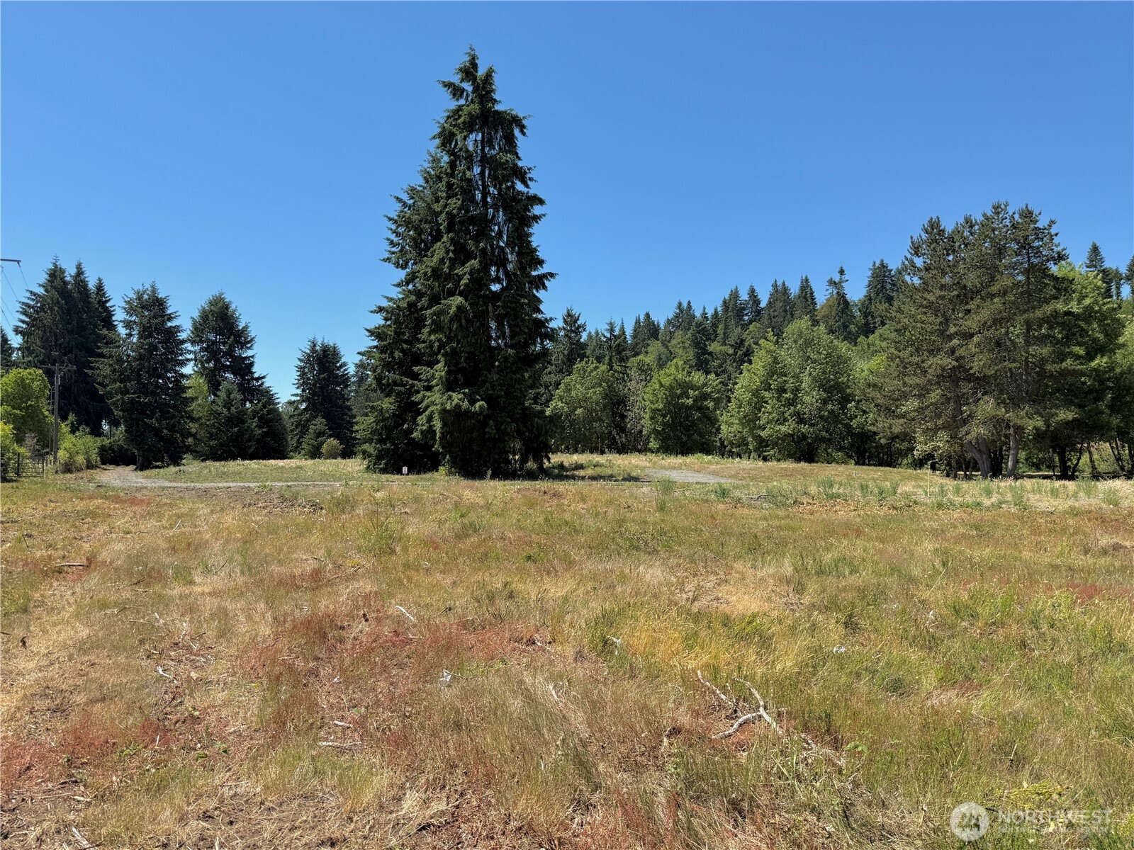 102 Mocha Lane Property Photo 3