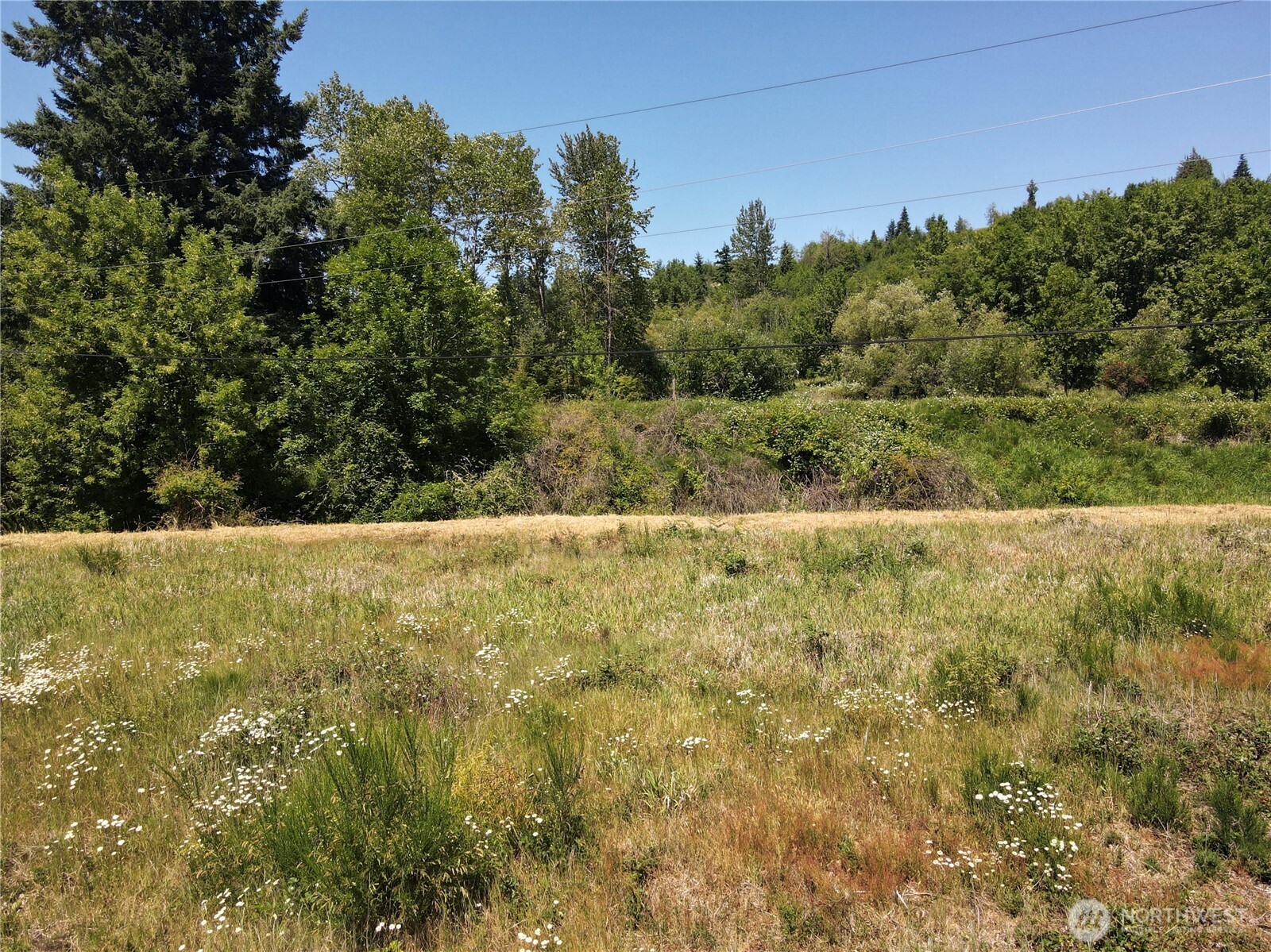 102 Mocha Lane Property Photo 15