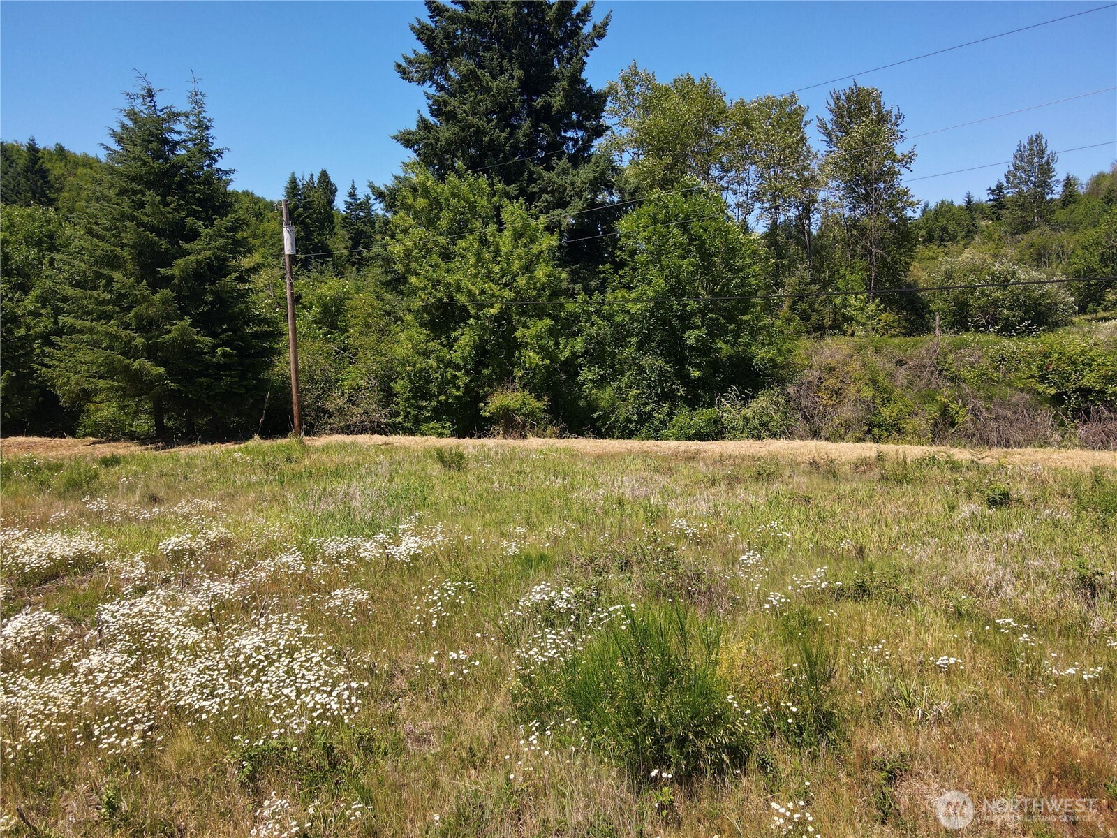 102 Mocha Lane Property Photo 19