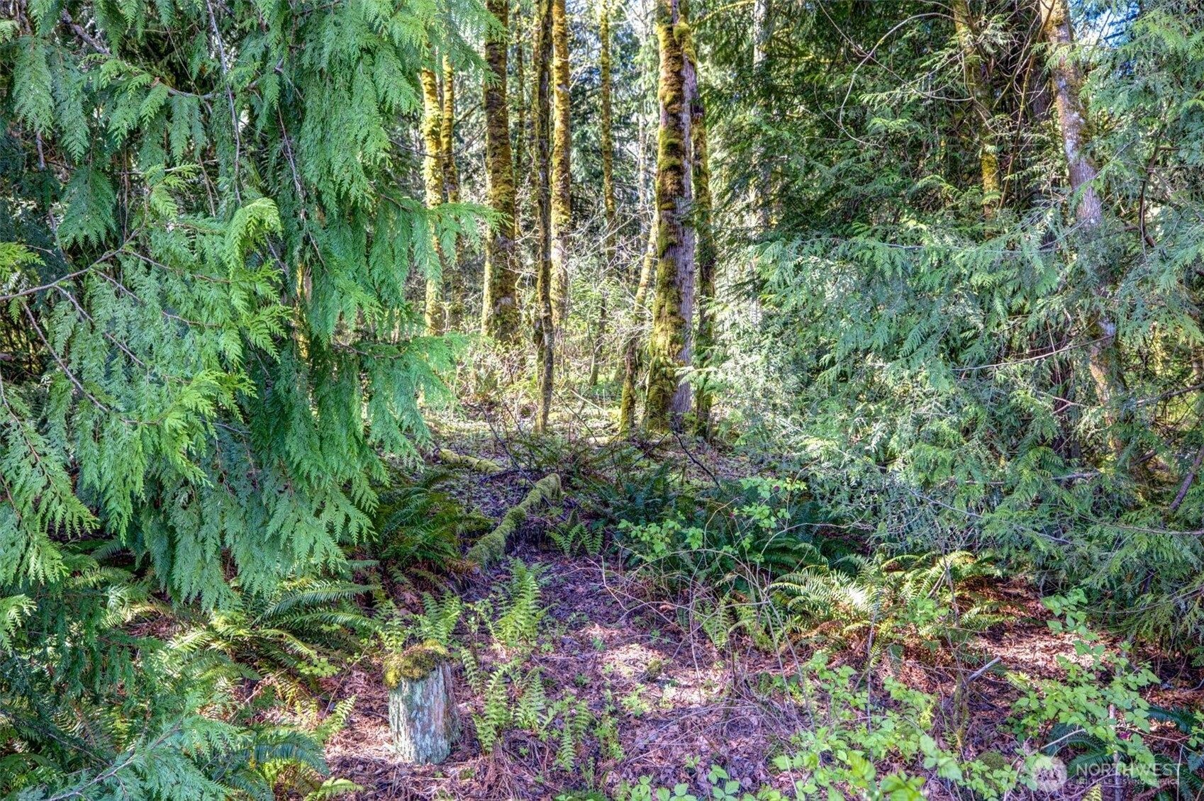 17512 260th Avenue Property Photo 13