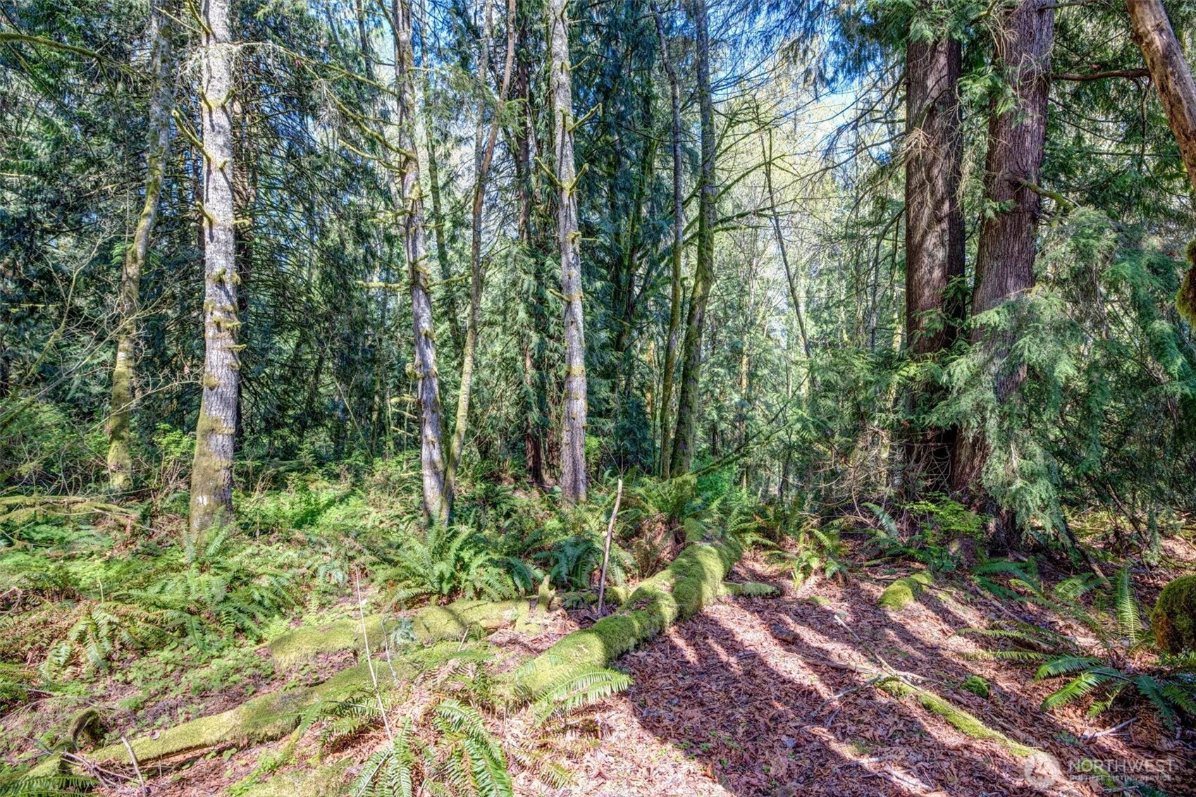 17512 260th Avenue Property Photo 18