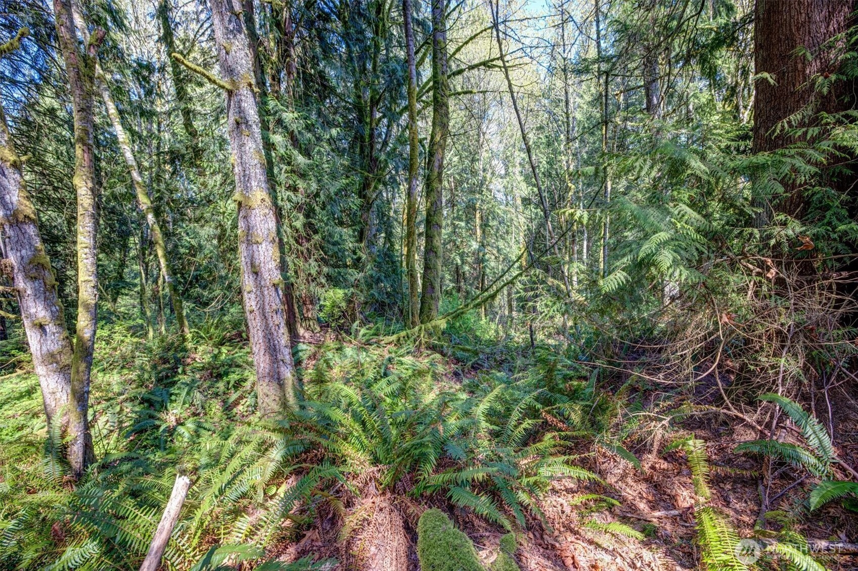 17512 260th Avenue Property Photo 19