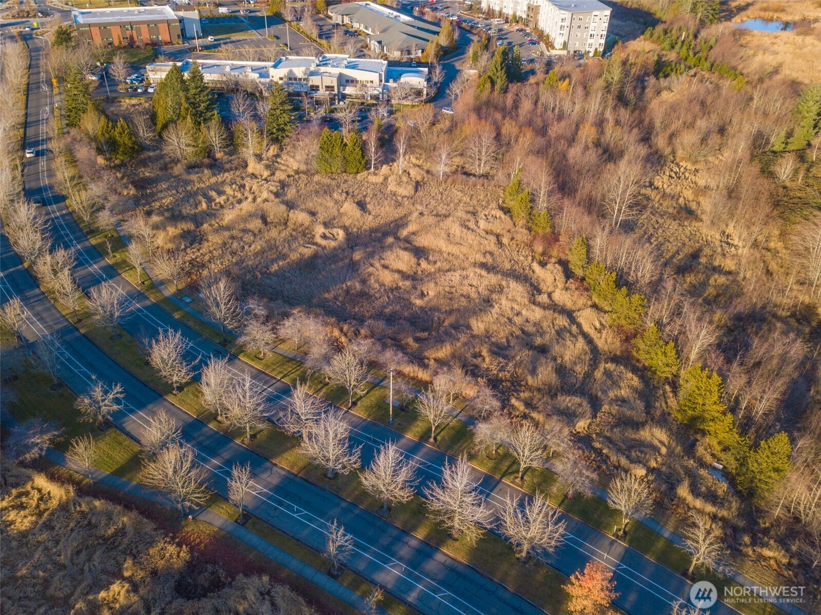 42 Xx Cordata Parkway Property Photo 3