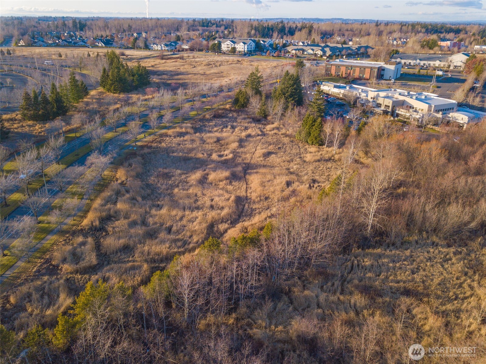 42 Xx Cordata Parkway Property Photo 5