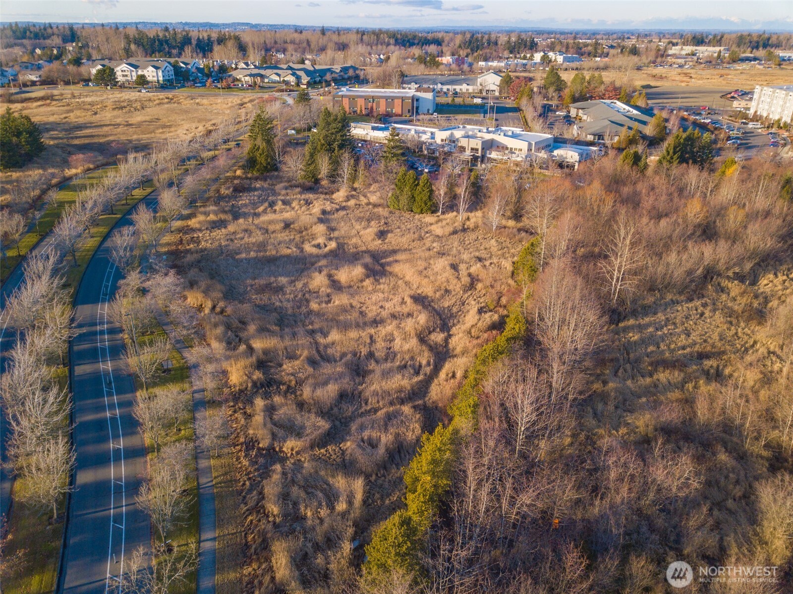 42 Xx Cordata Parkway Property Photo 6