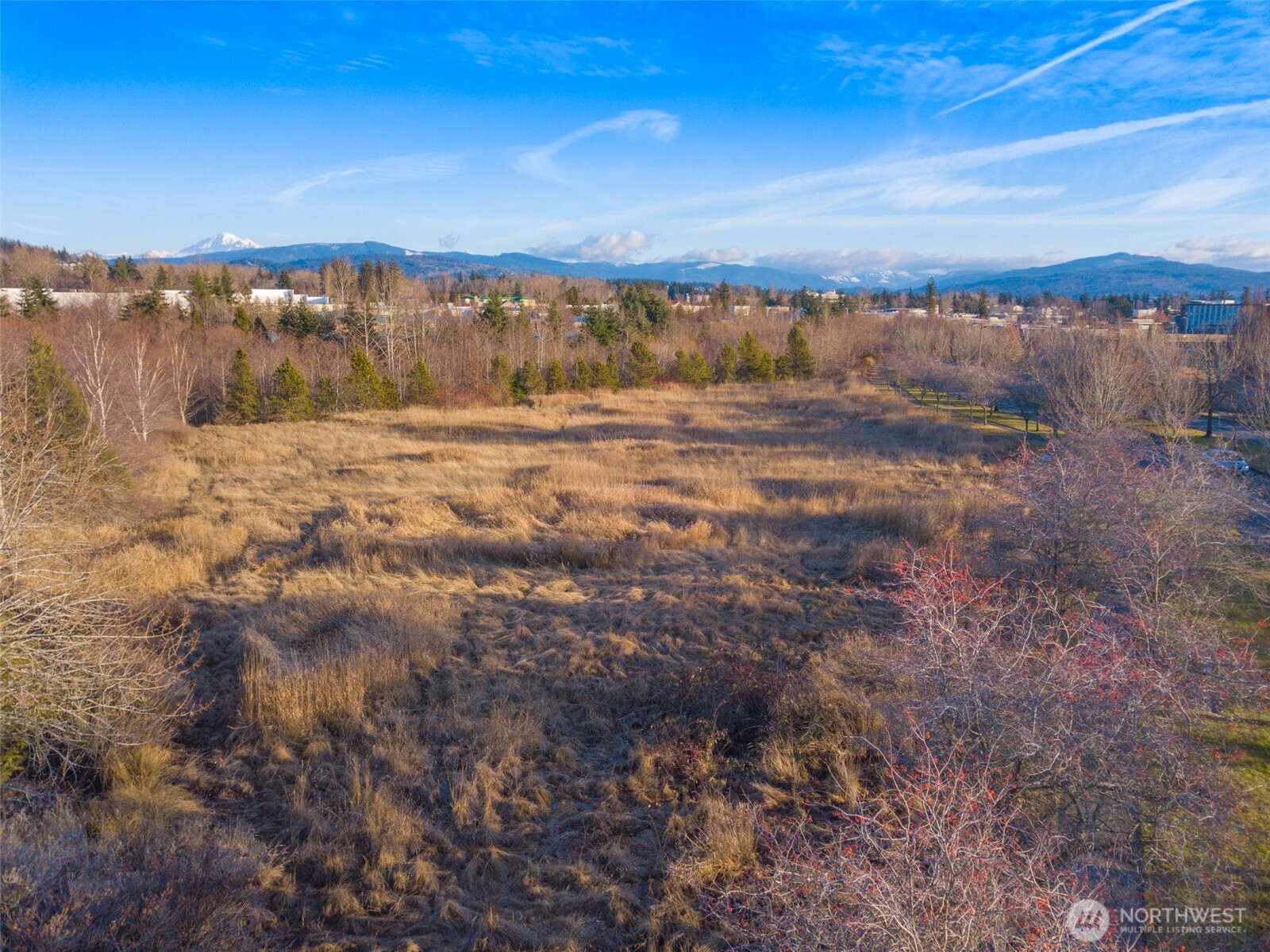 42 Xx Cordata Parkway Property Photo 10