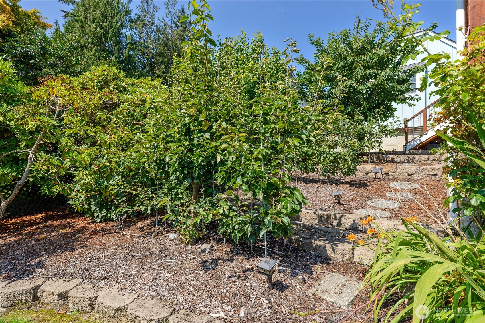 231 Madrona Terrace Terrace Property Photo 37