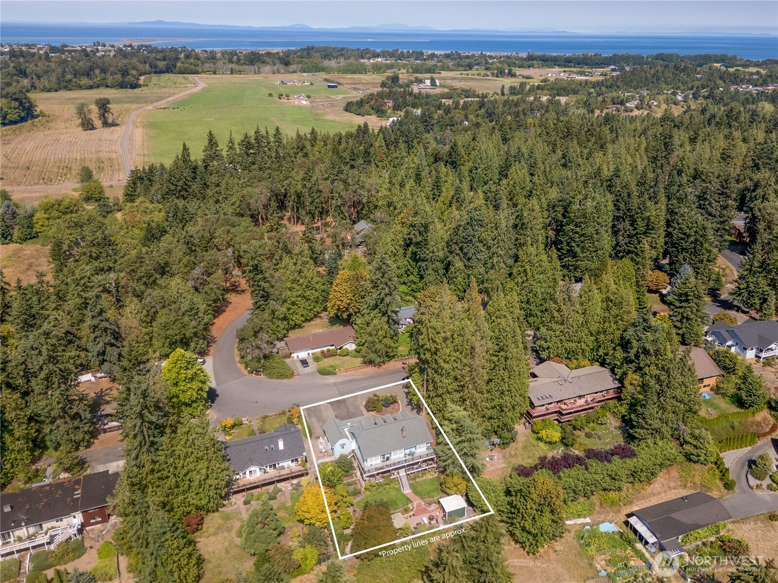 231 Madrona Terrace Terrace Property Photo 40