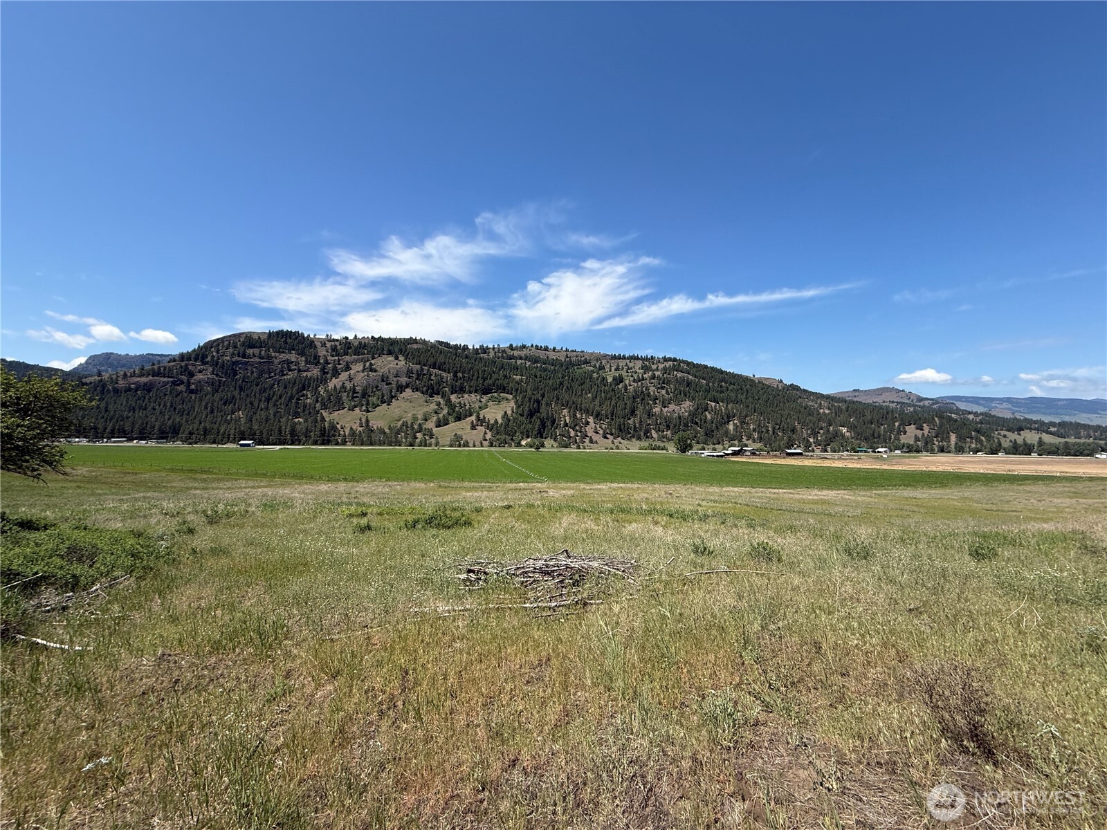 0 Art Creek Road Property Photo 1