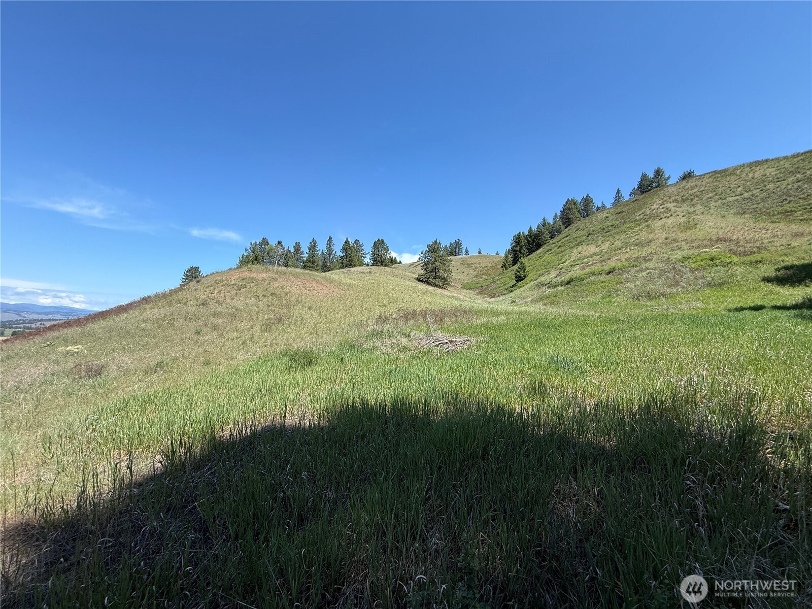0 Art Creek Road Property Photo 3