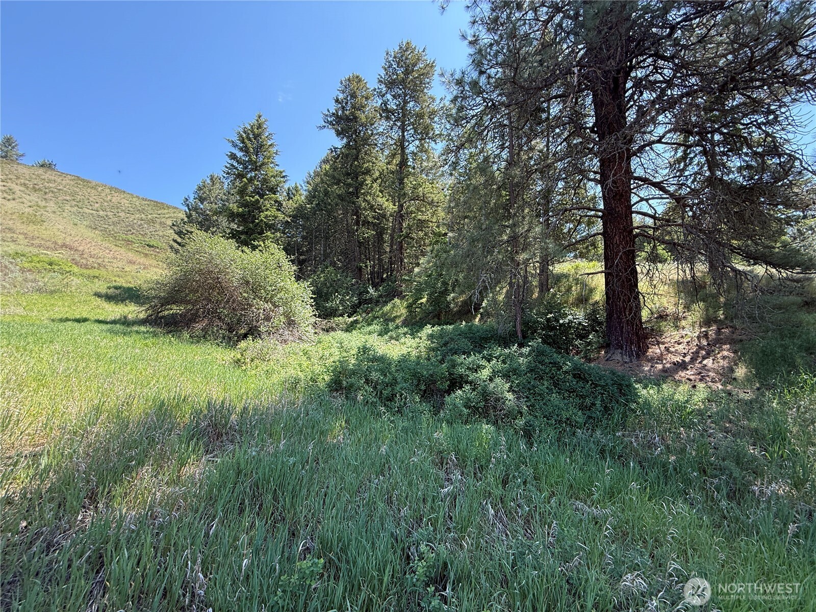 0 Art Creek Road Property Photo 6