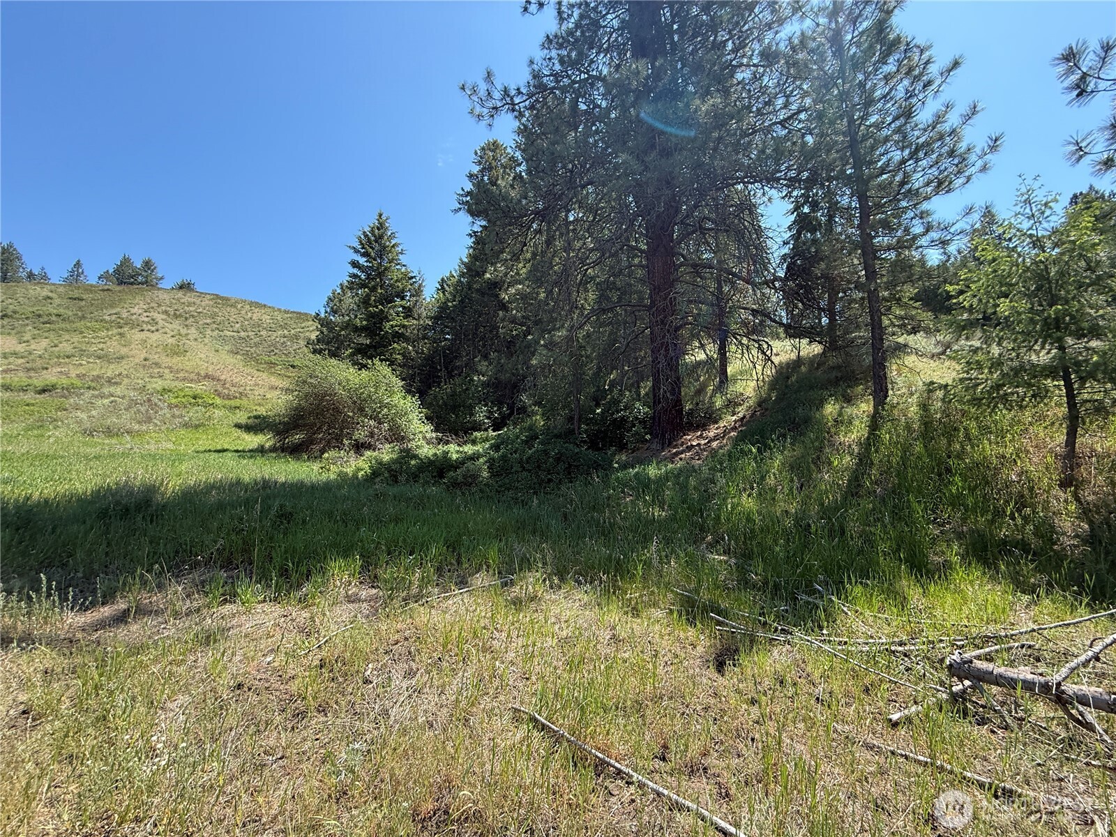 0 Art Creek Road Property Photo 7