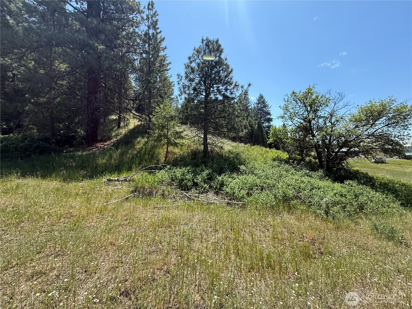 0 Art Creek Road Property Photo 8