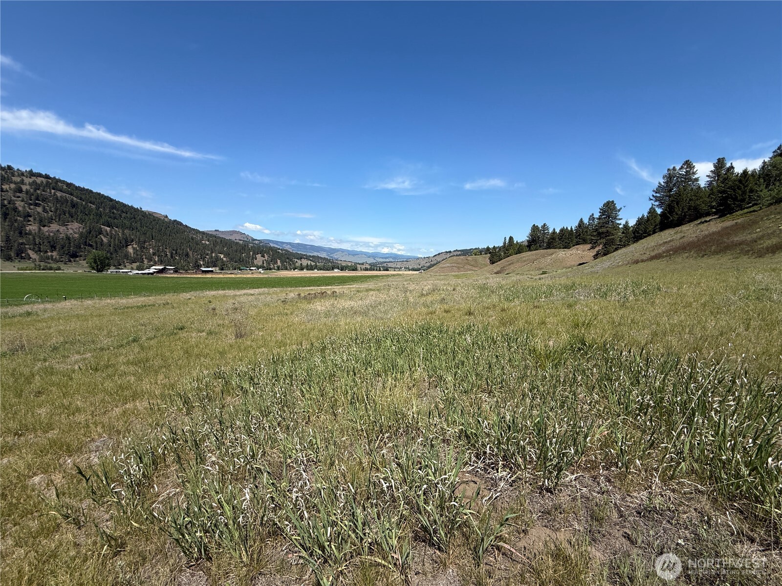 0 Art Creek Road Property Photo 10