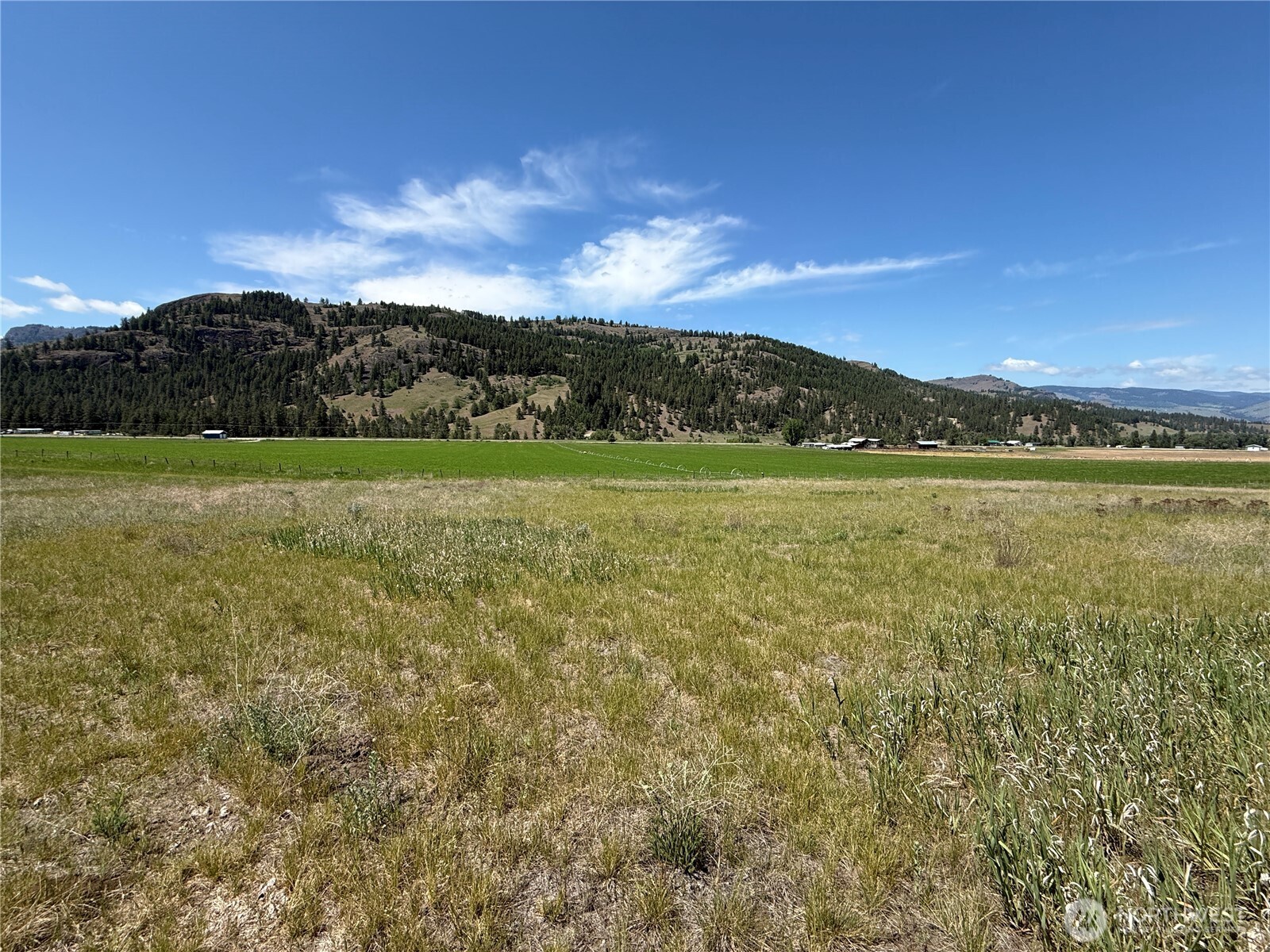 0 Art Creek Road Property Photo 11