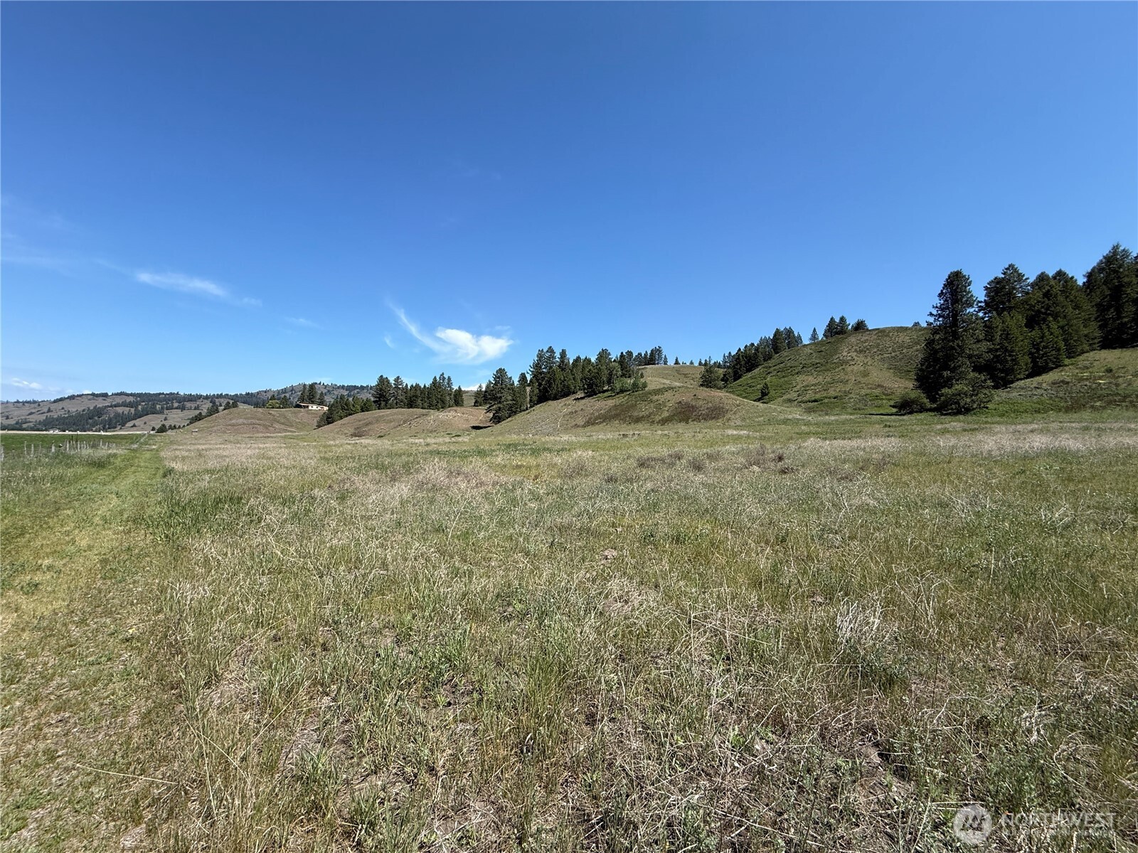 0 Art Creek Road Property Photo 13