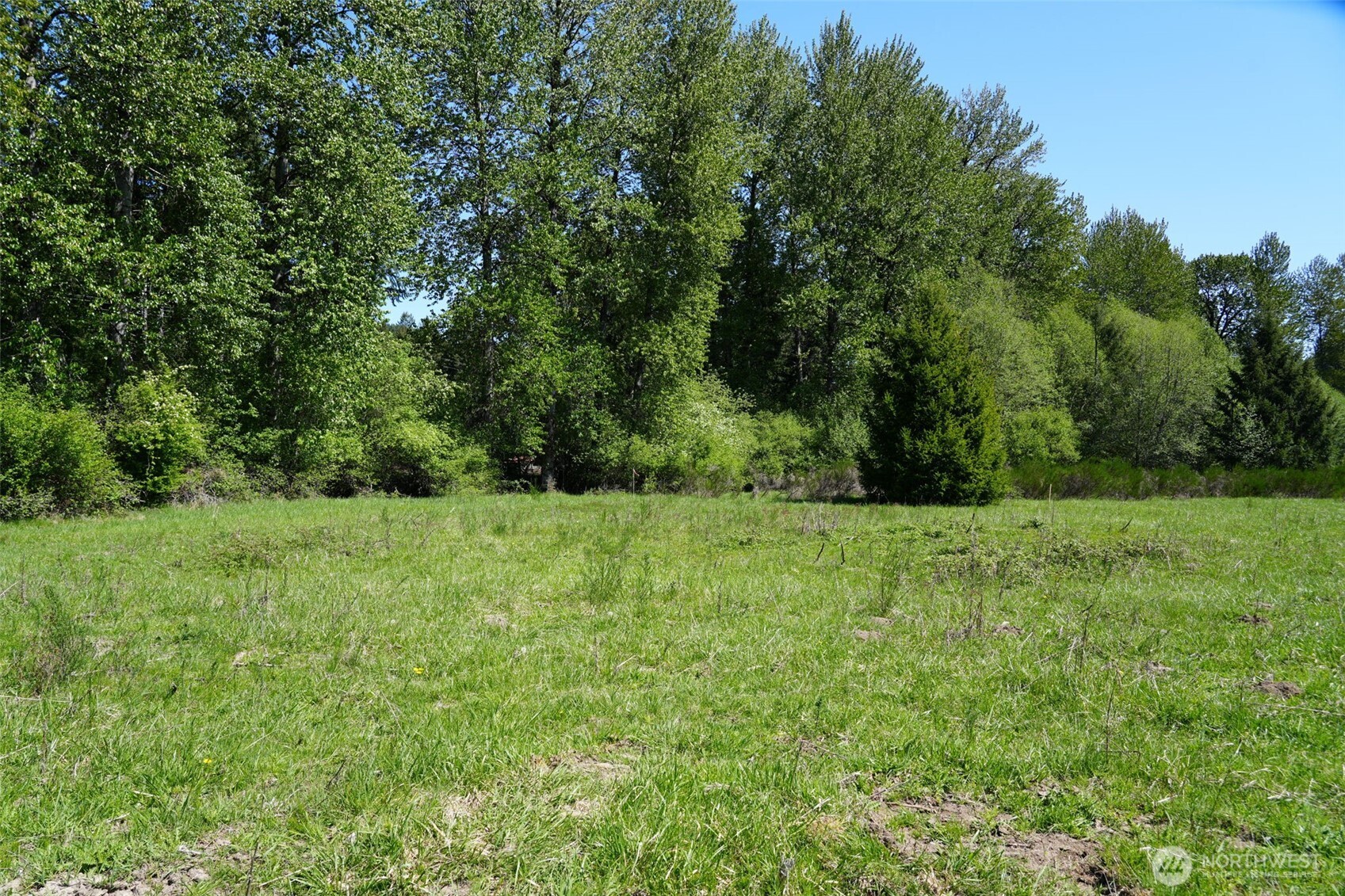 131 Campfire Lane Property Photo 3