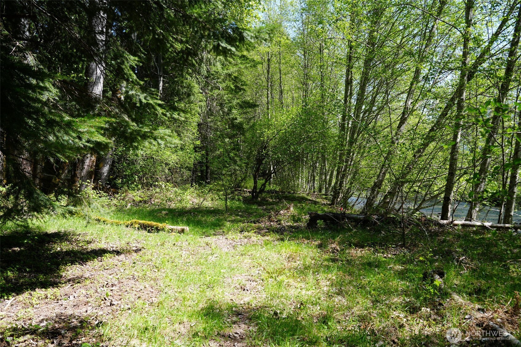 131 Campfire Lane Property Photo 18