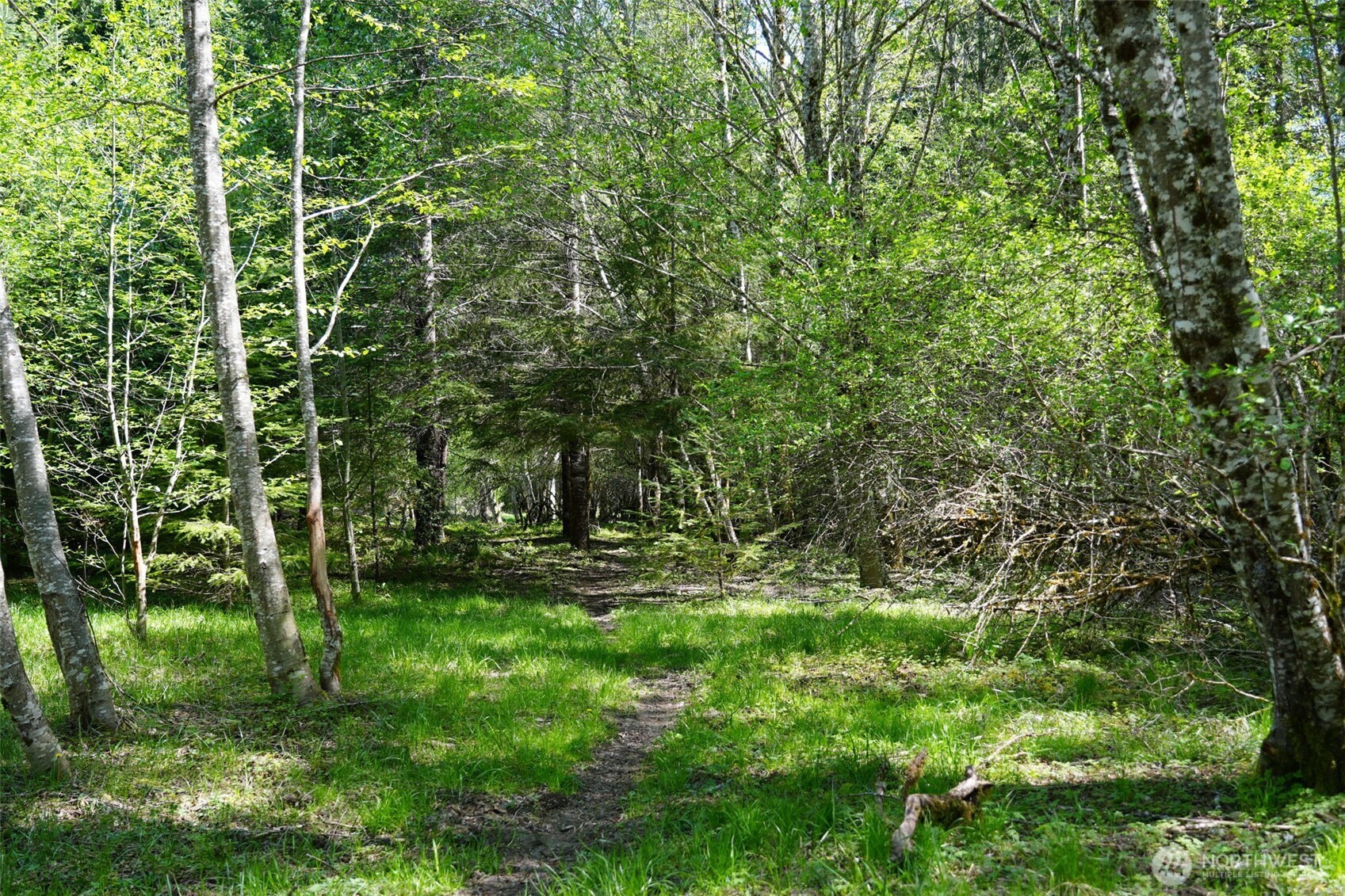 131 Campfire Lane Property Photo 21