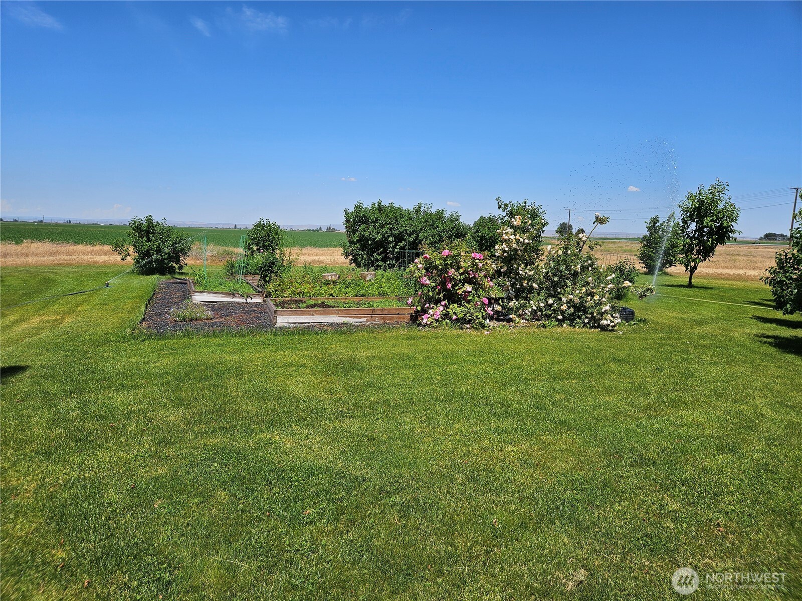 2510 Highway 281 Property Photo 4