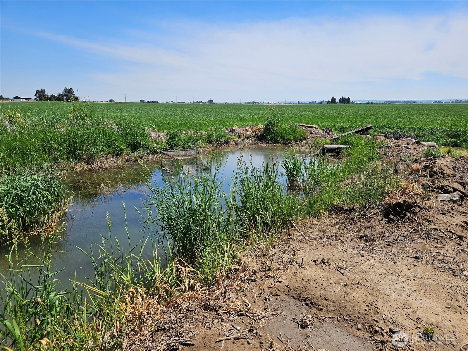 2510 Highway 281 Property Photo 5