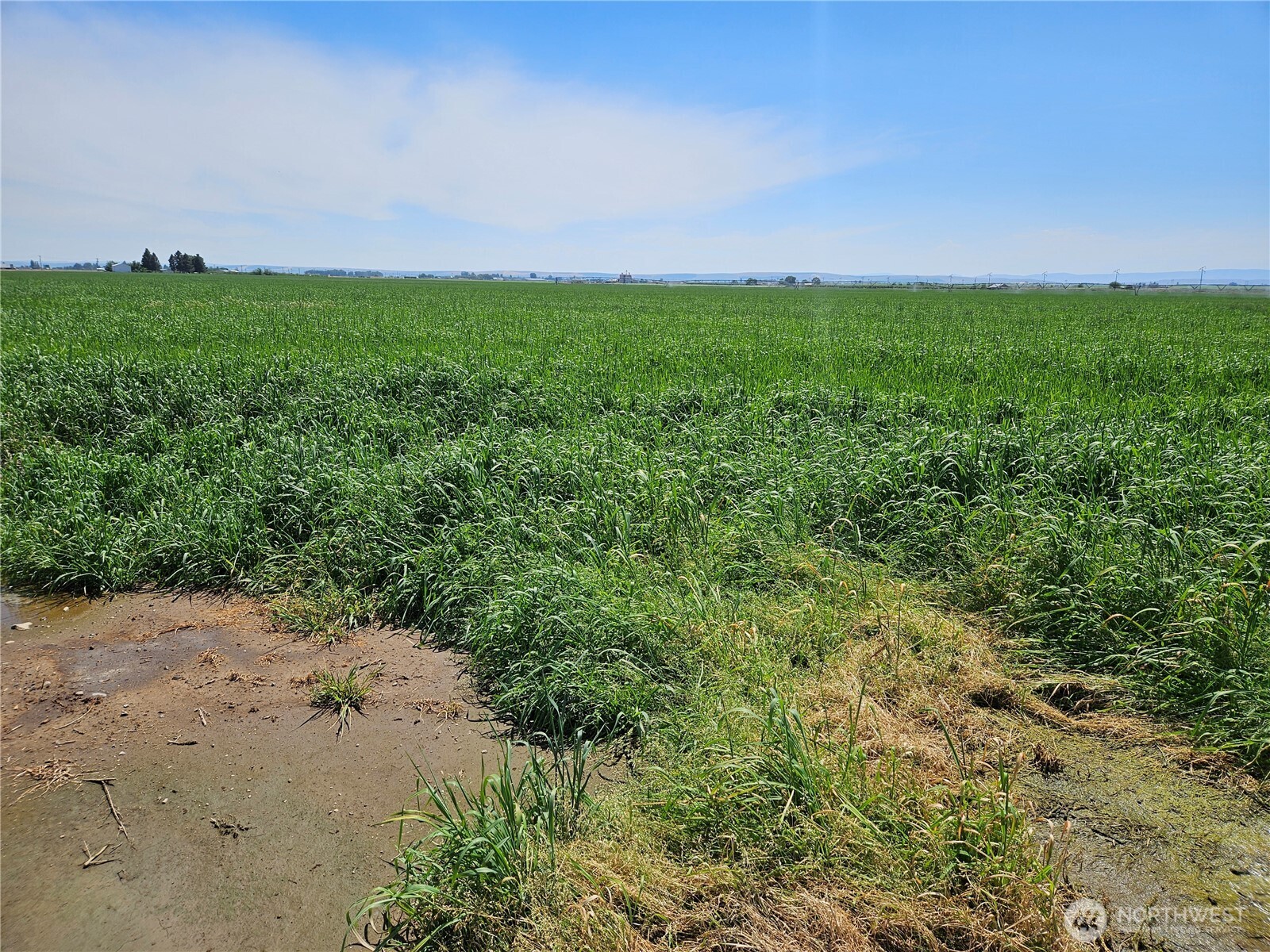 2510 Highway 281 Property Photo 9