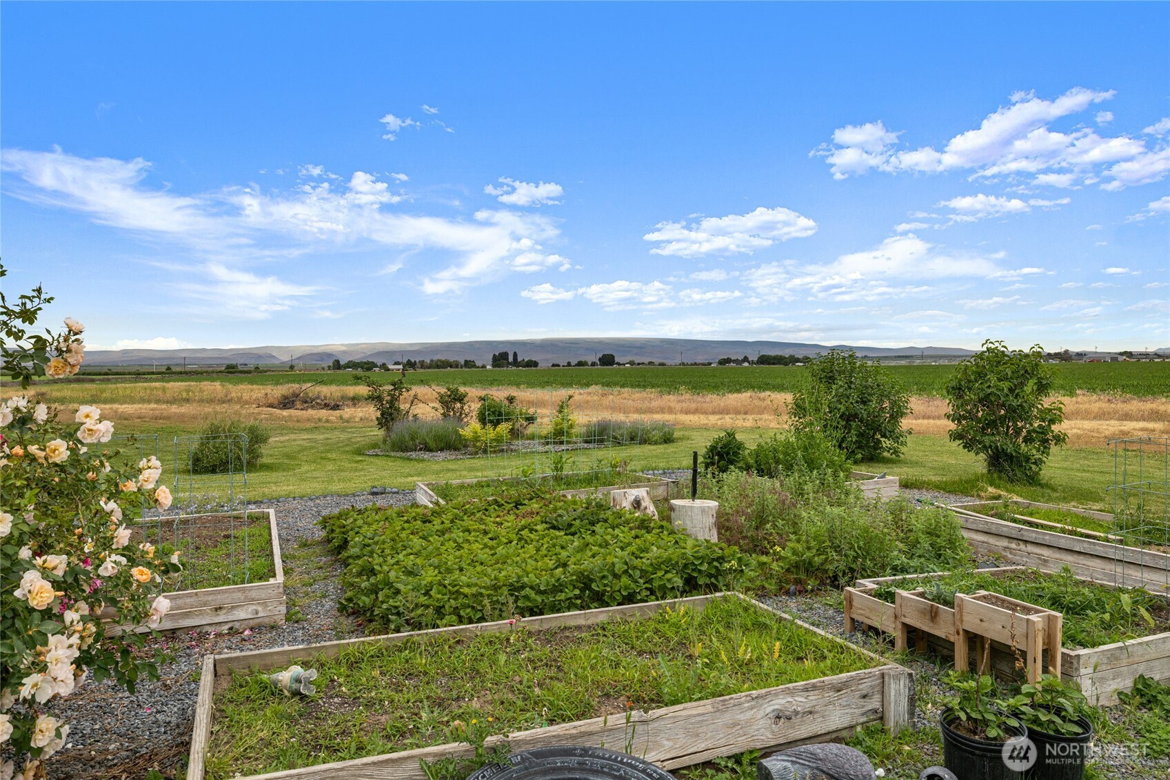 2510 Highway 281 Property Photo 23