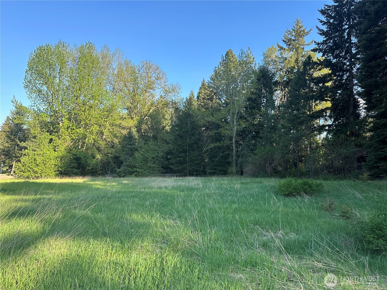 0 Beaver Lane Property Photo 1