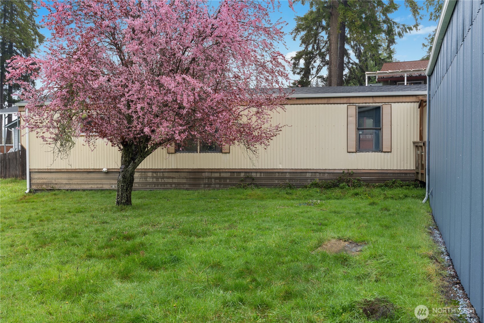 9823 Whitecap Drive Property Photo 6