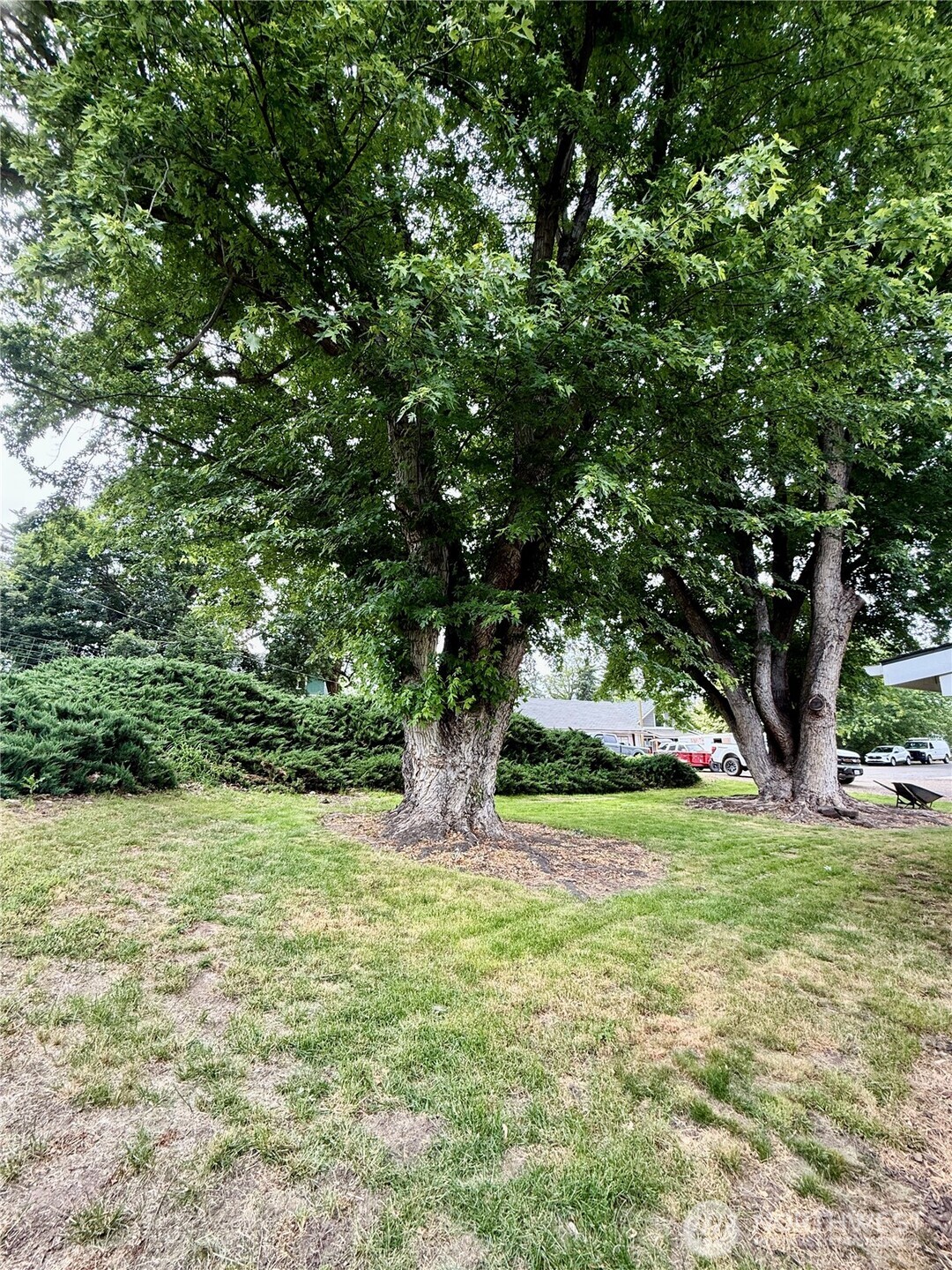 321 Bruce Street Property Photo 25