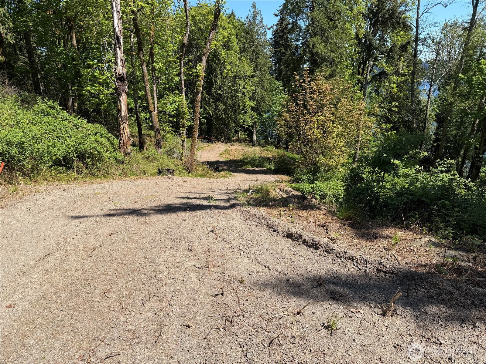 7099 Wilson Creek Road Property Photo 2