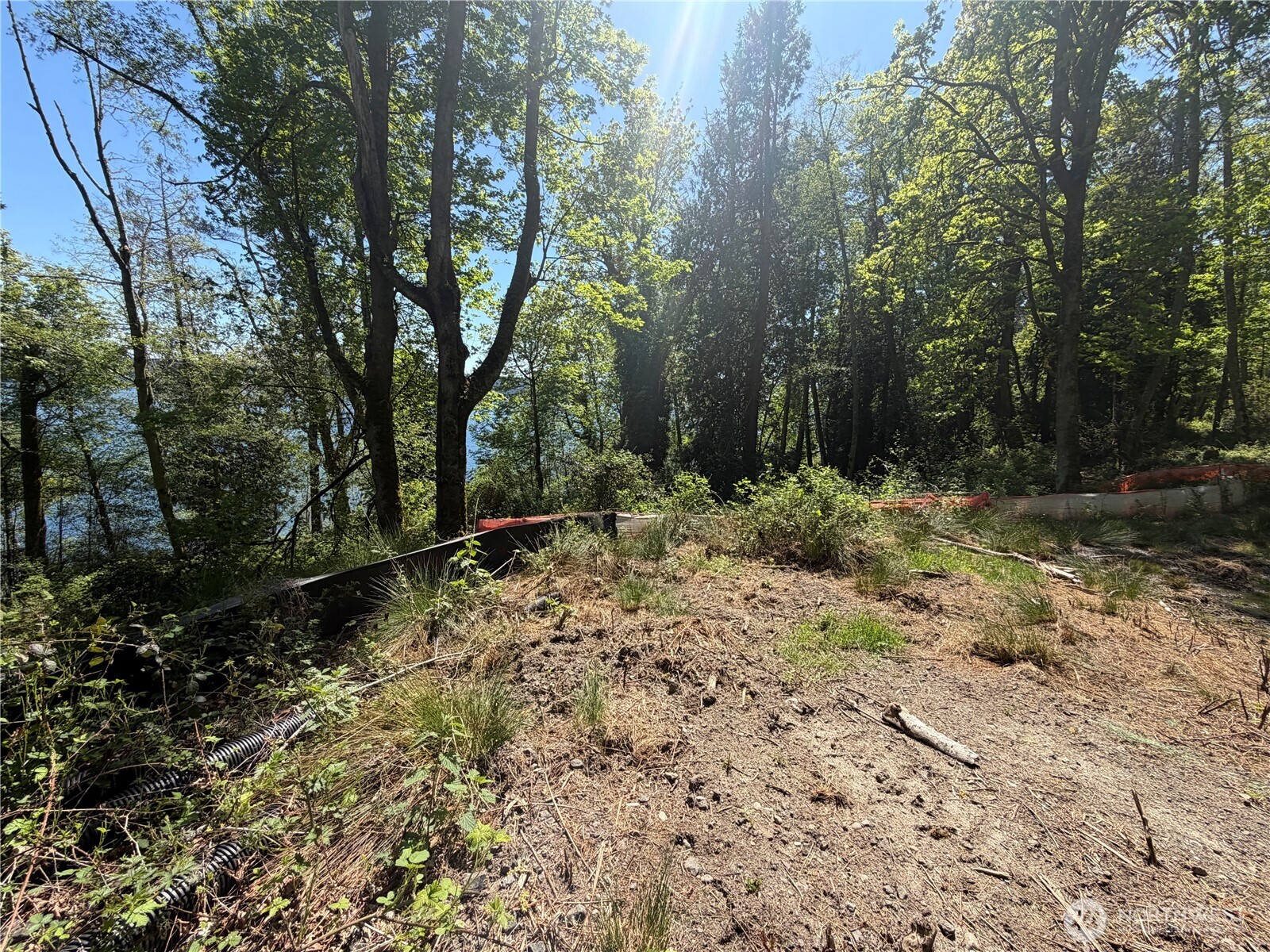 7099 Wilson Creek Road Property Photo 3