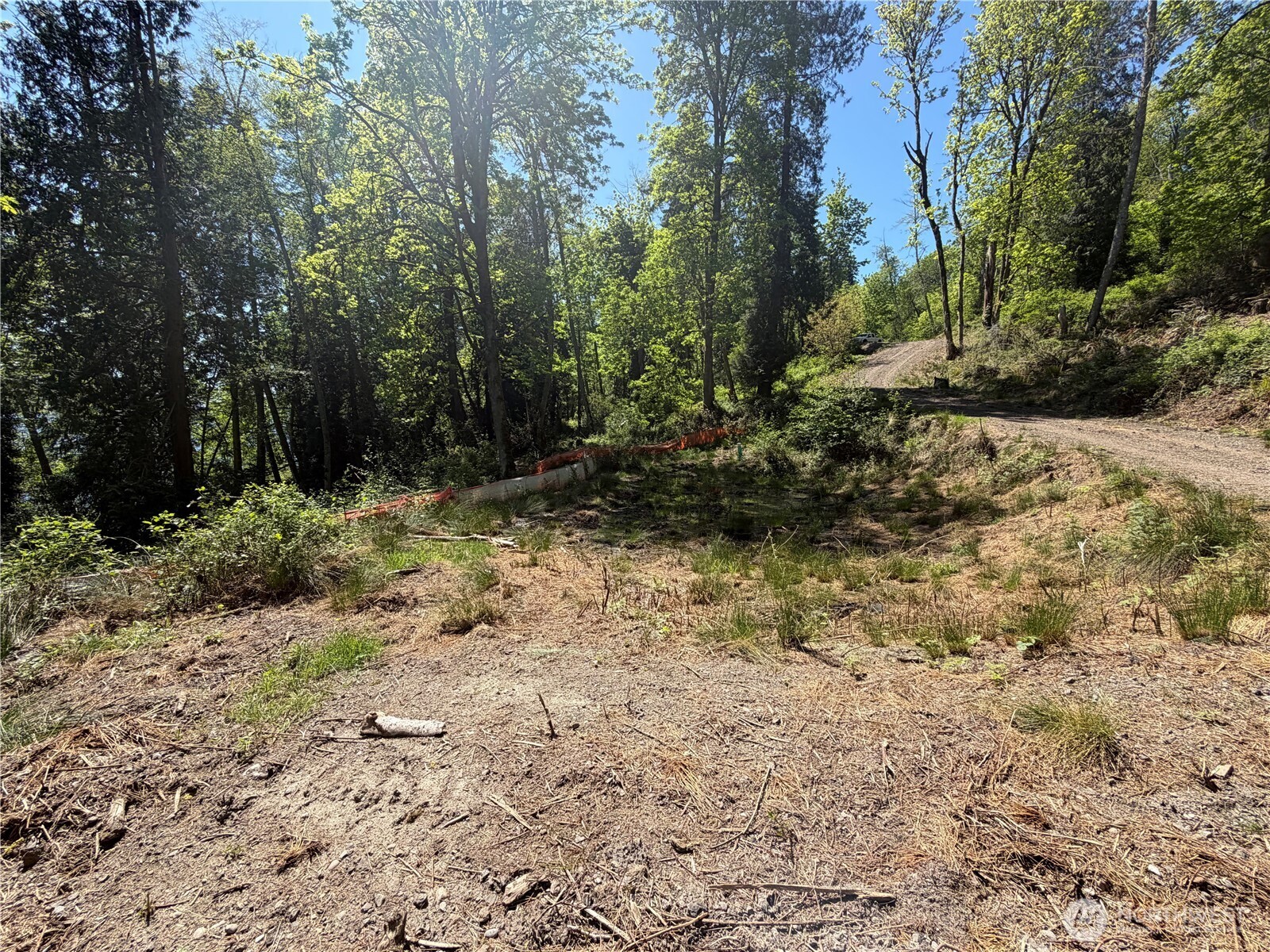7099 Wilson Creek Road Property Photo 4