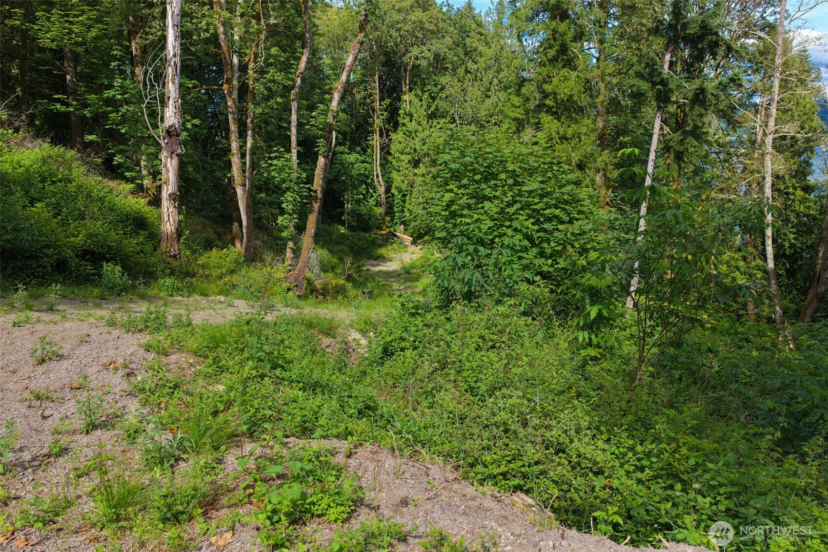 7099 Wilson Creek Road Property Photo 13