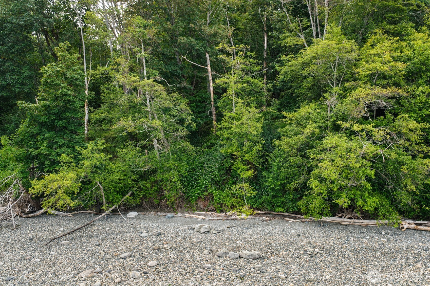 7099 Wilson Creek Road Property Photo 19
