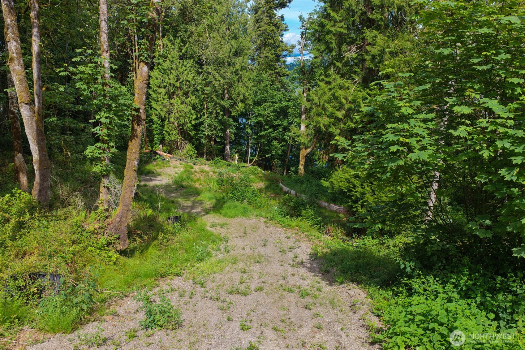 7099 Wilson Creek Road Property Photo 21