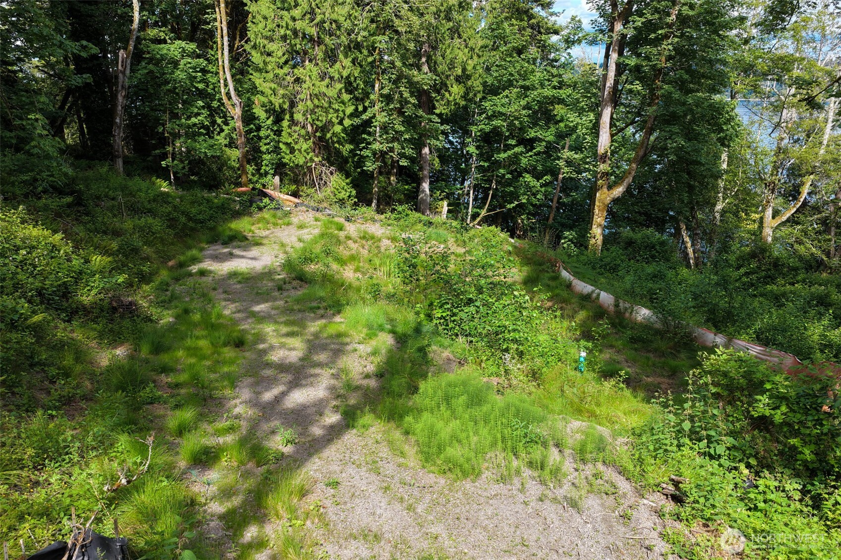 7099 Wilson Creek Road Property Photo 22