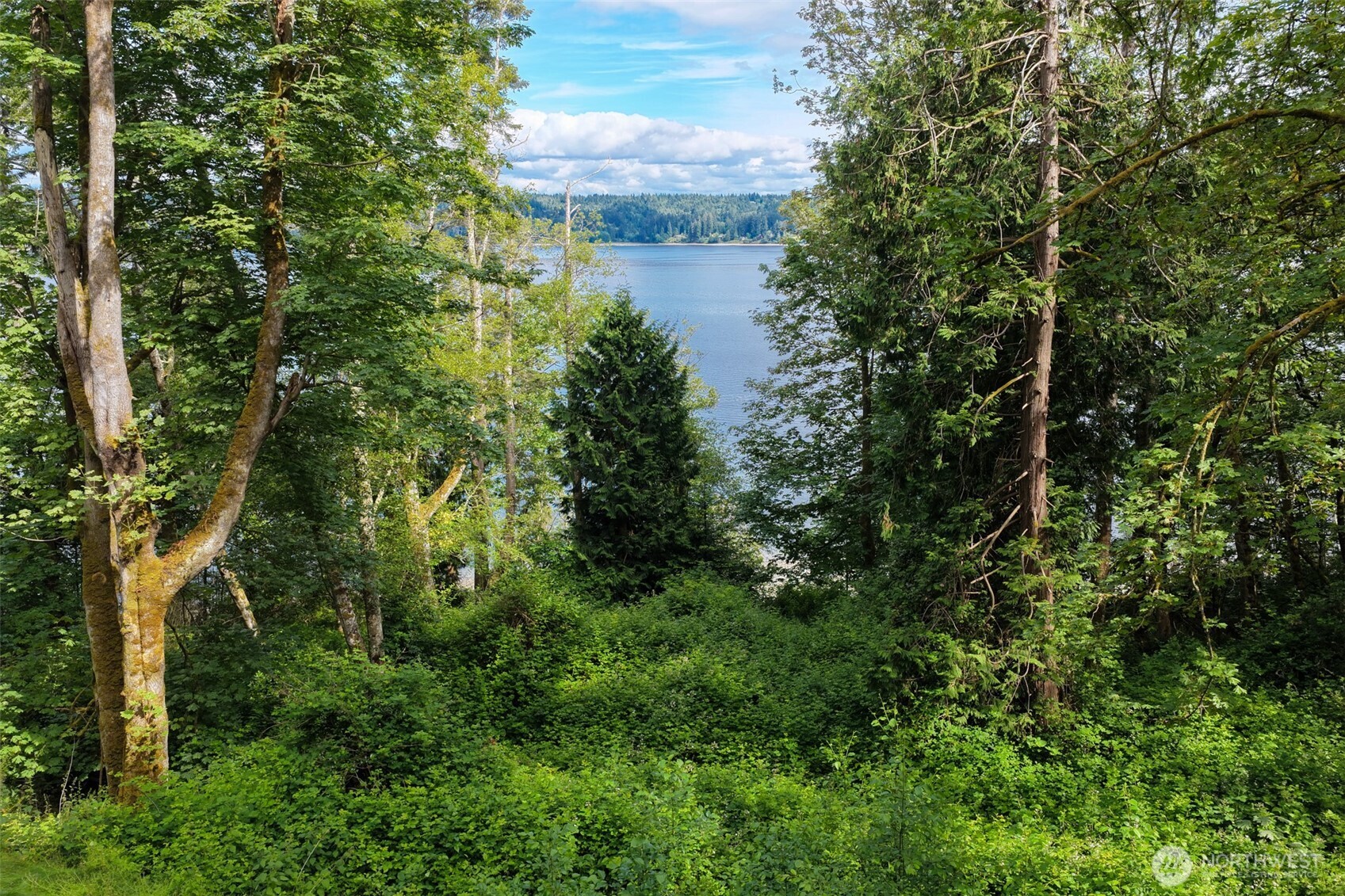 7099 Wilson Creek Road Property Photo 23