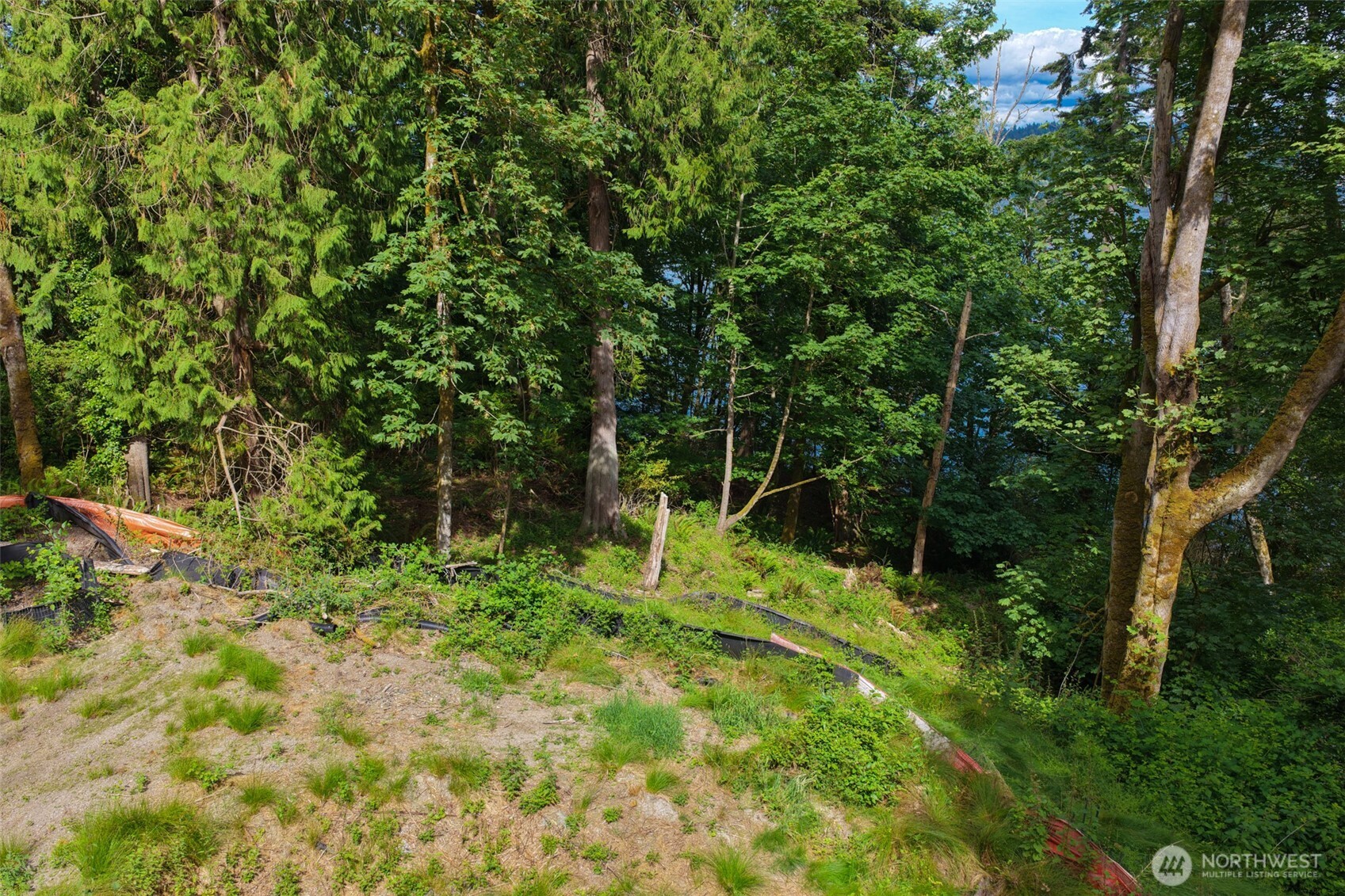 7099 Wilson Creek Road Property Photo 24