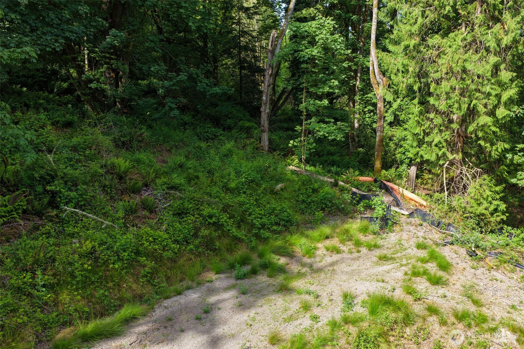 7099 Wilson Creek Road Property Photo 25