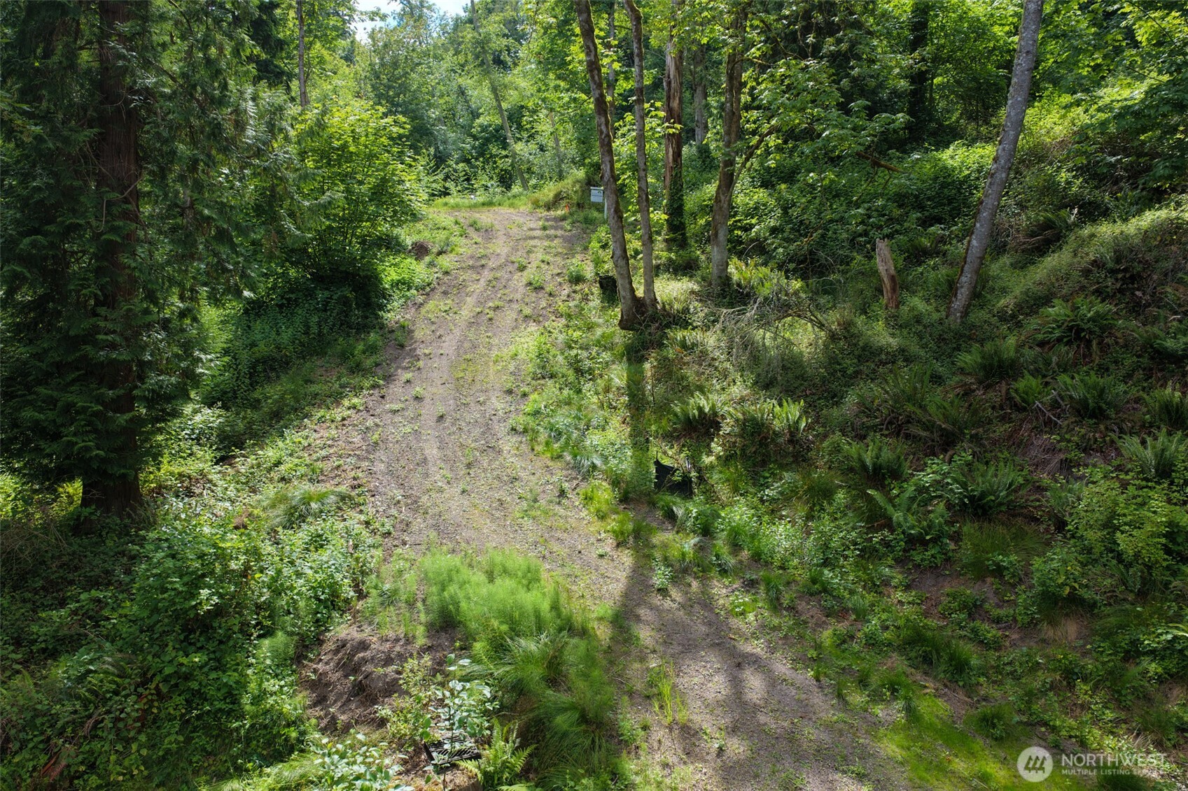 7099 Wilson Creek Road Property Photo 26