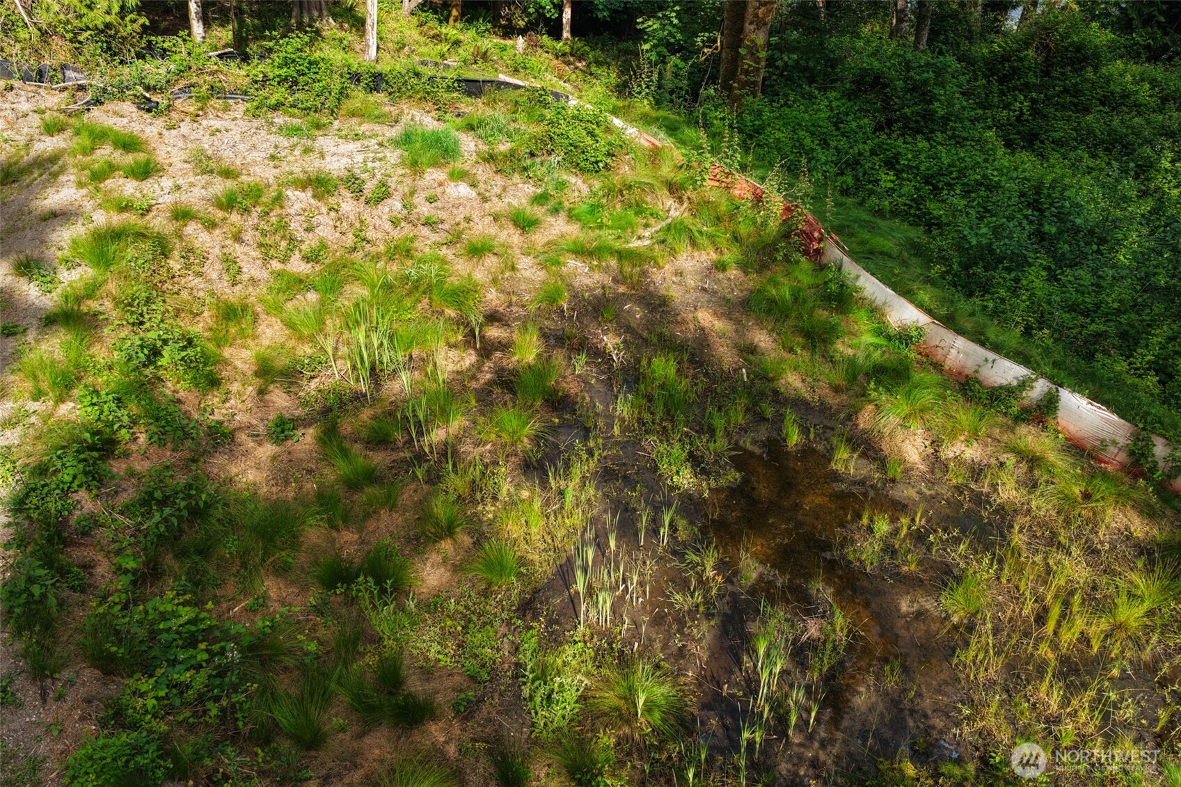 7099 Wilson Creek Road Property Photo 34